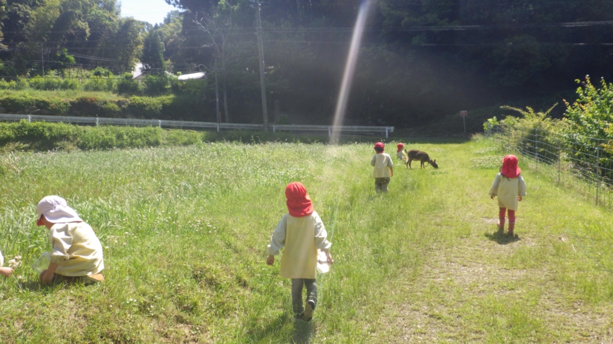 年中　5月の園外保育　その2