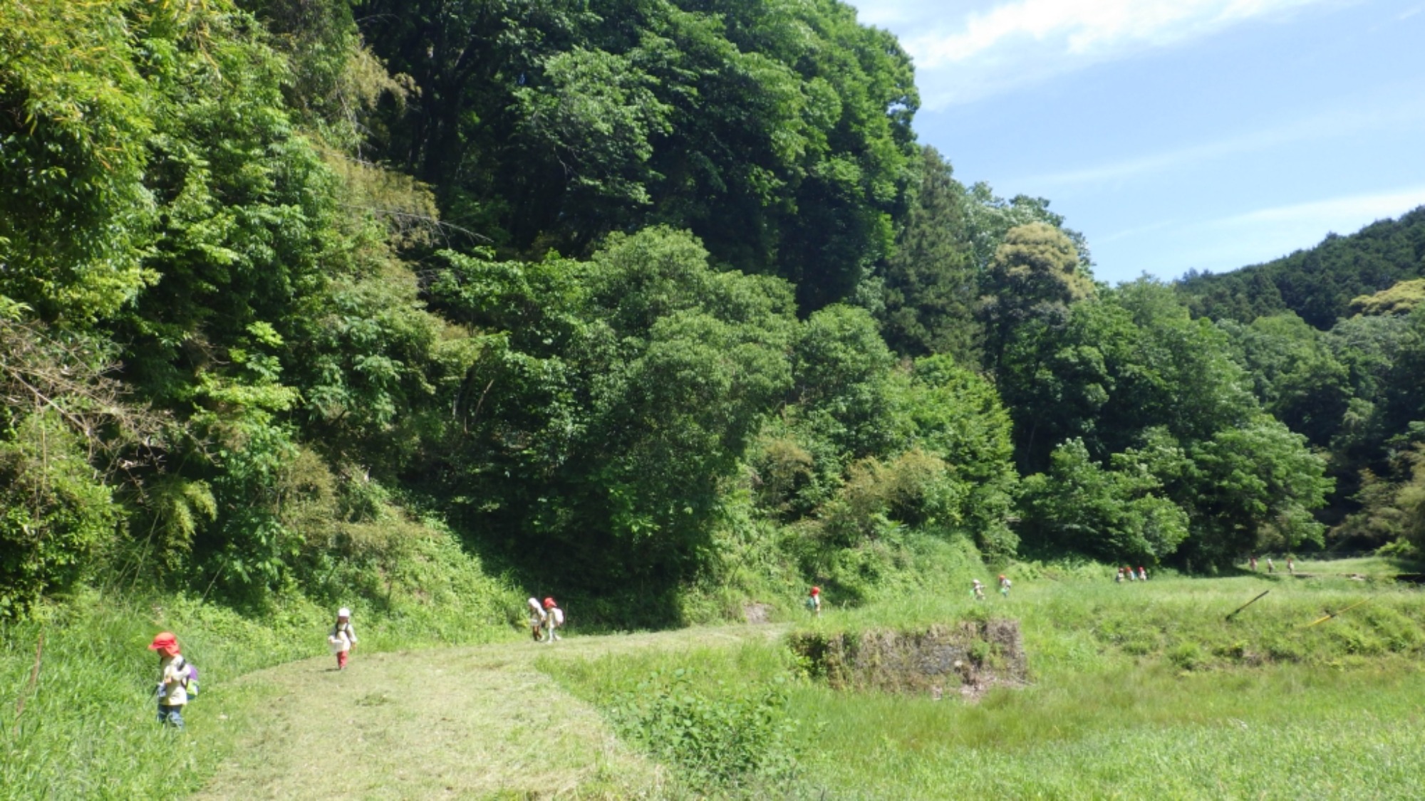 年中　5月の園外保育　その2