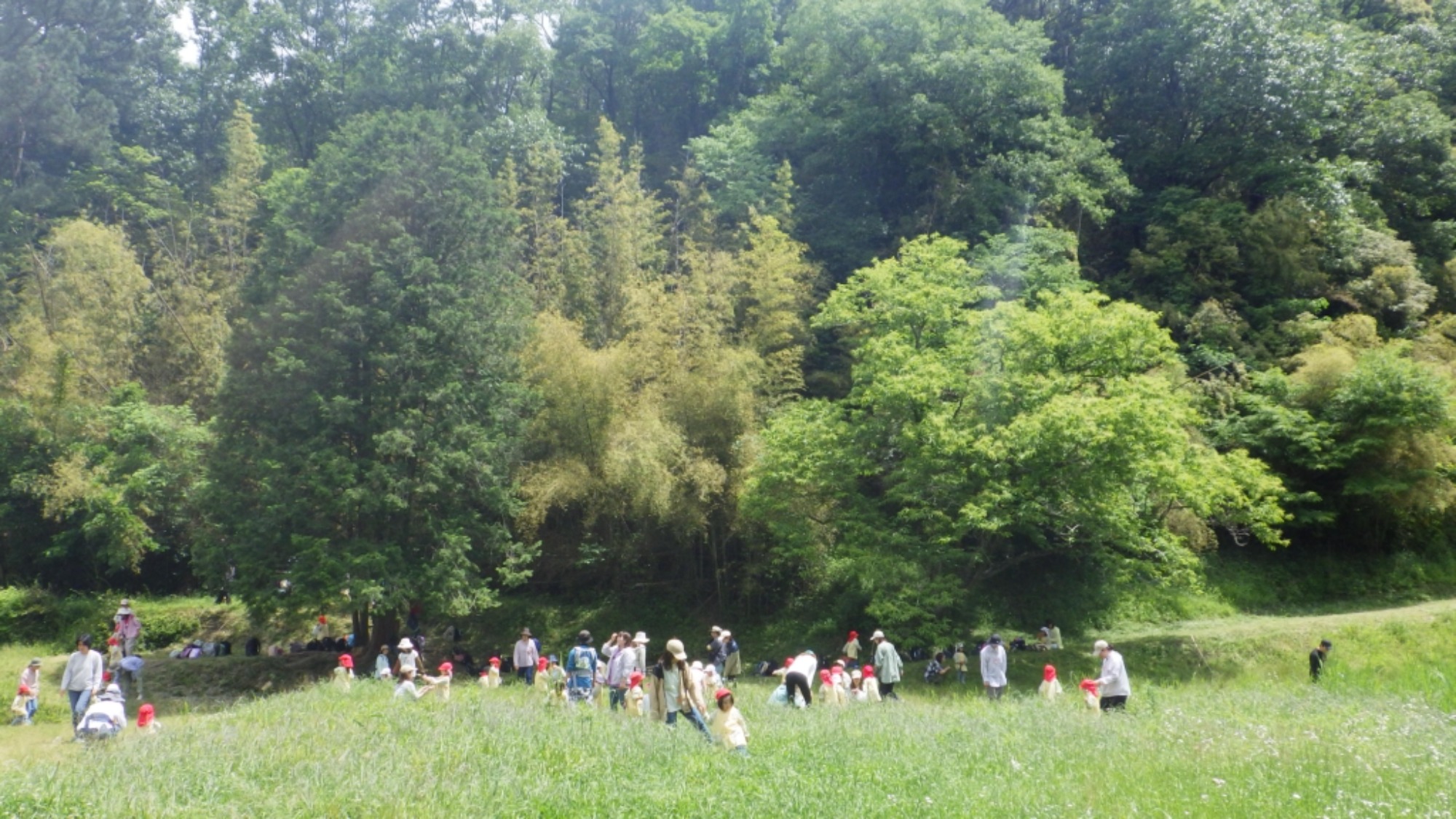 年少　5月の園外保育　その1