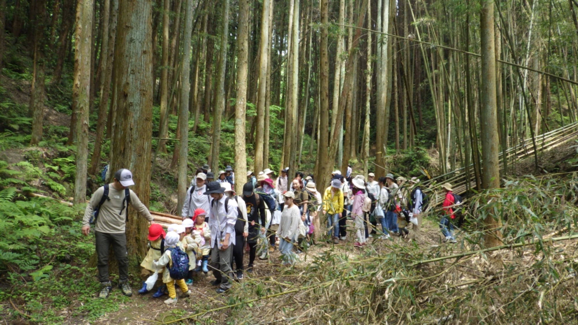 年少　5月の園外保育　その2