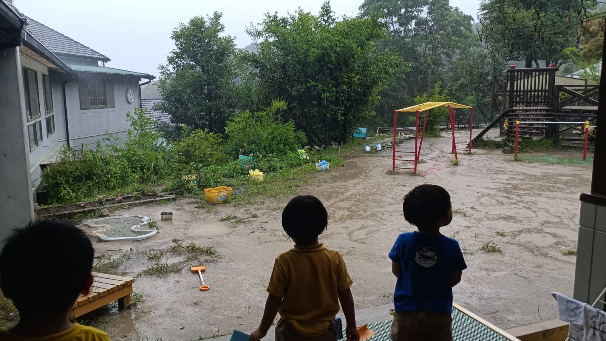 雨、晴れ、いろいろ