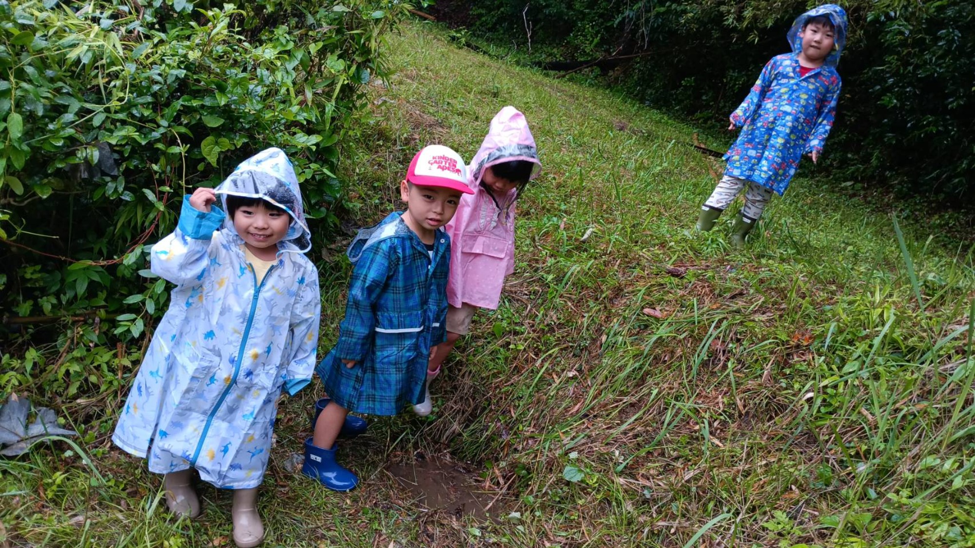 雨の日のお散歩