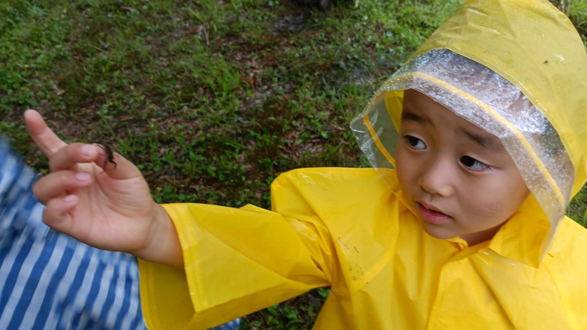 雨の日のお散歩