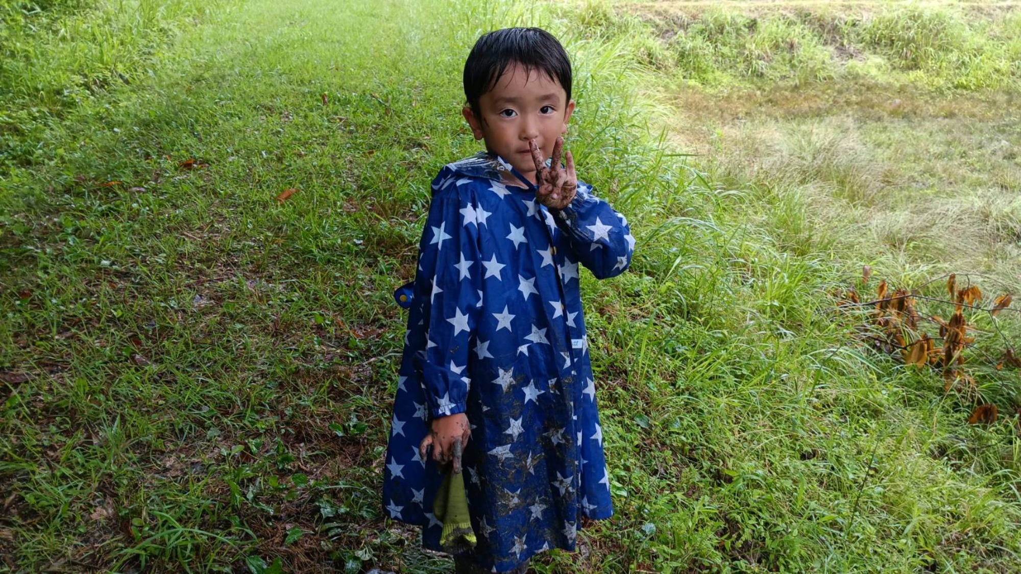 雨の日のお散歩