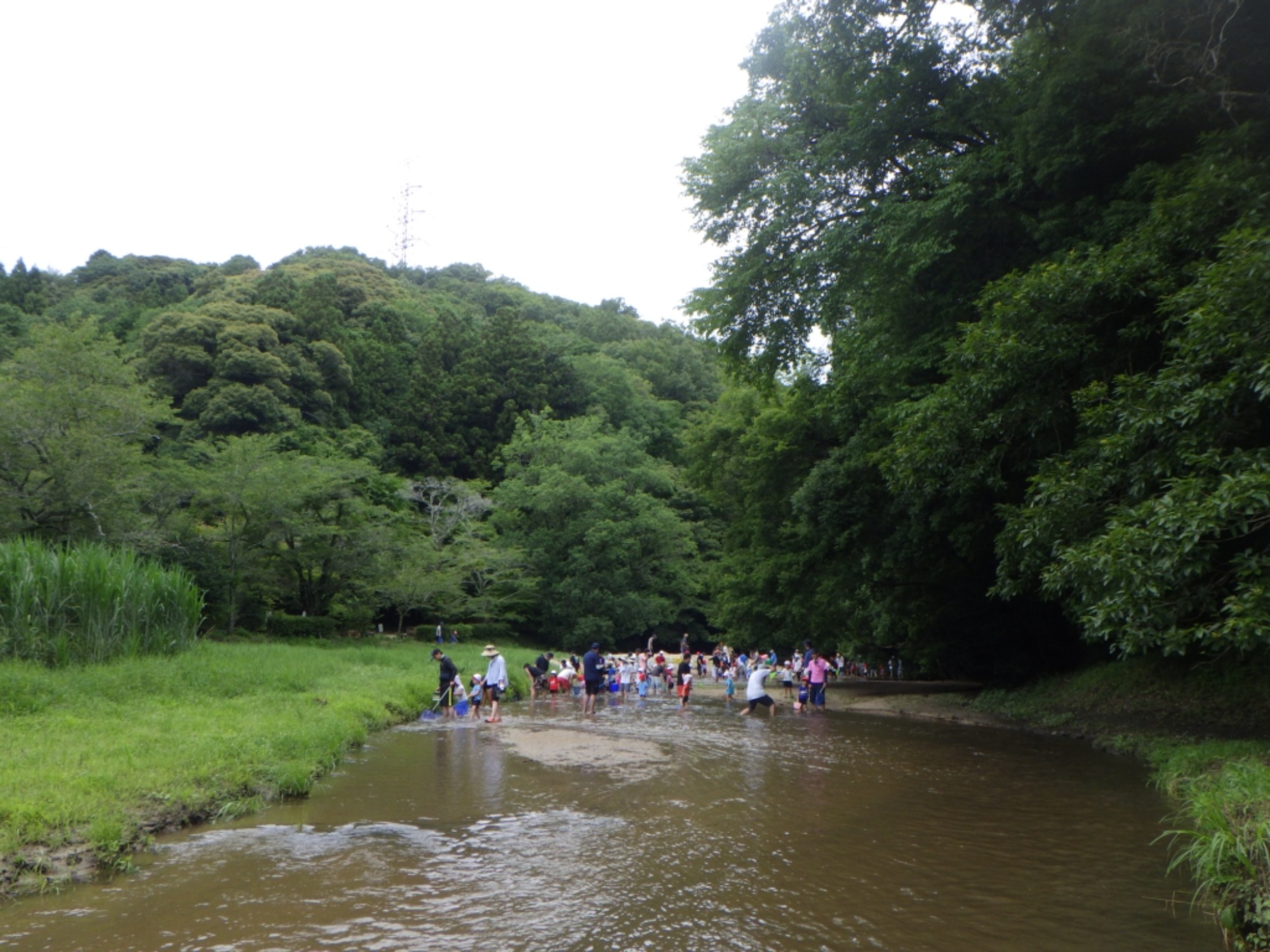 年中　川遊び園外保育（1/2）