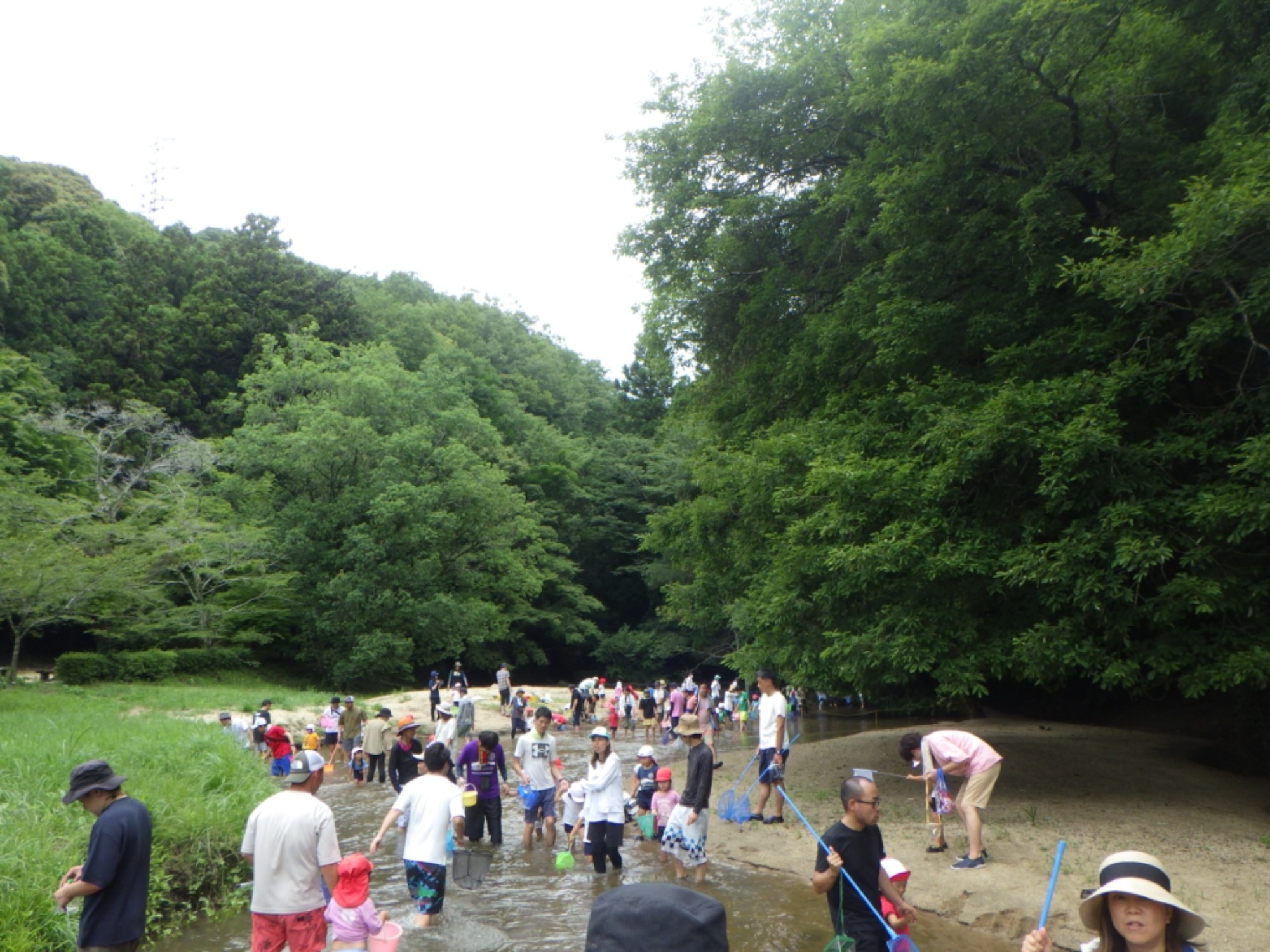 年中　川遊び園外保育（1/2）