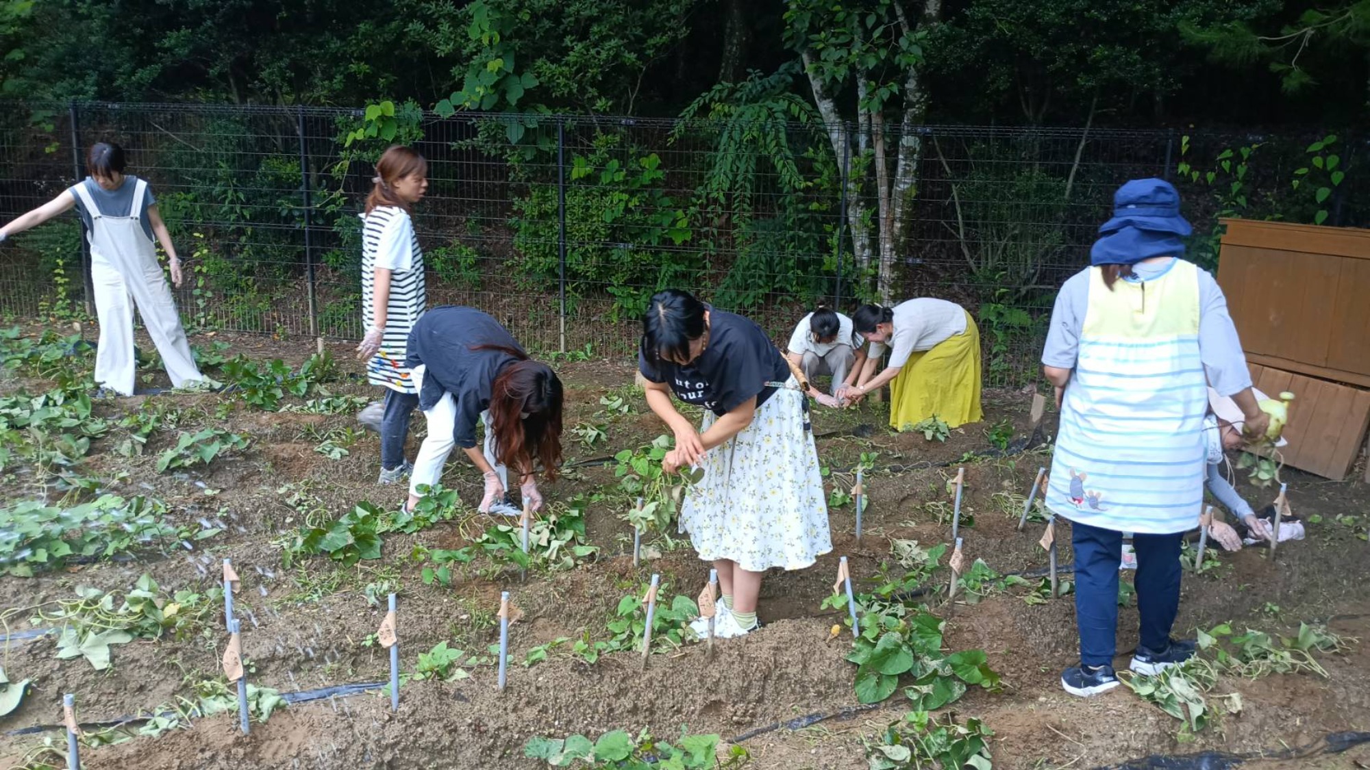 子育て学級「 幼児期の子どもたちと関わる大人として 知っておきたい性教育 」