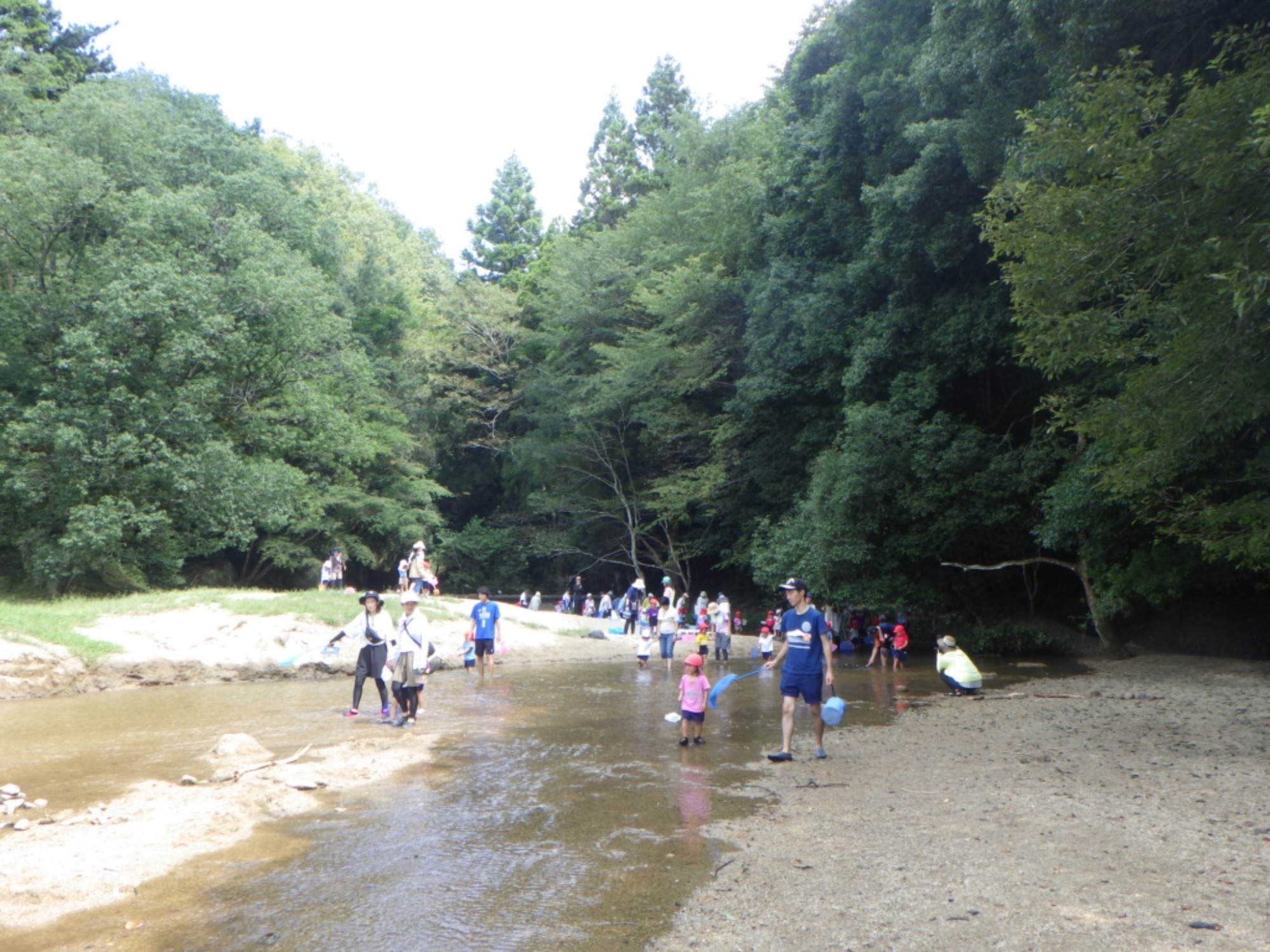 【年少】川遊び園外保育（1/2）