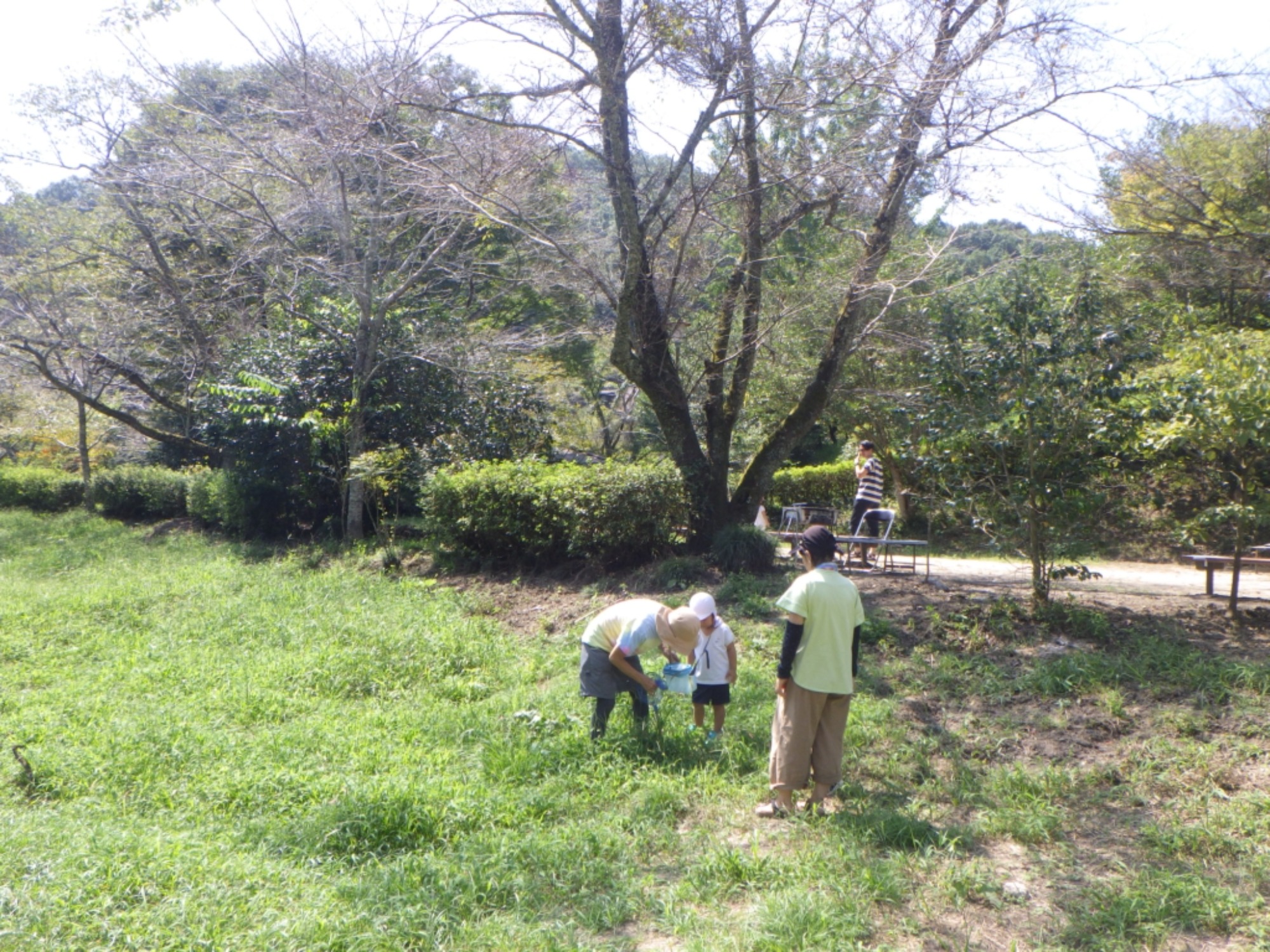 【年少】川遊び園外保育（2/2）