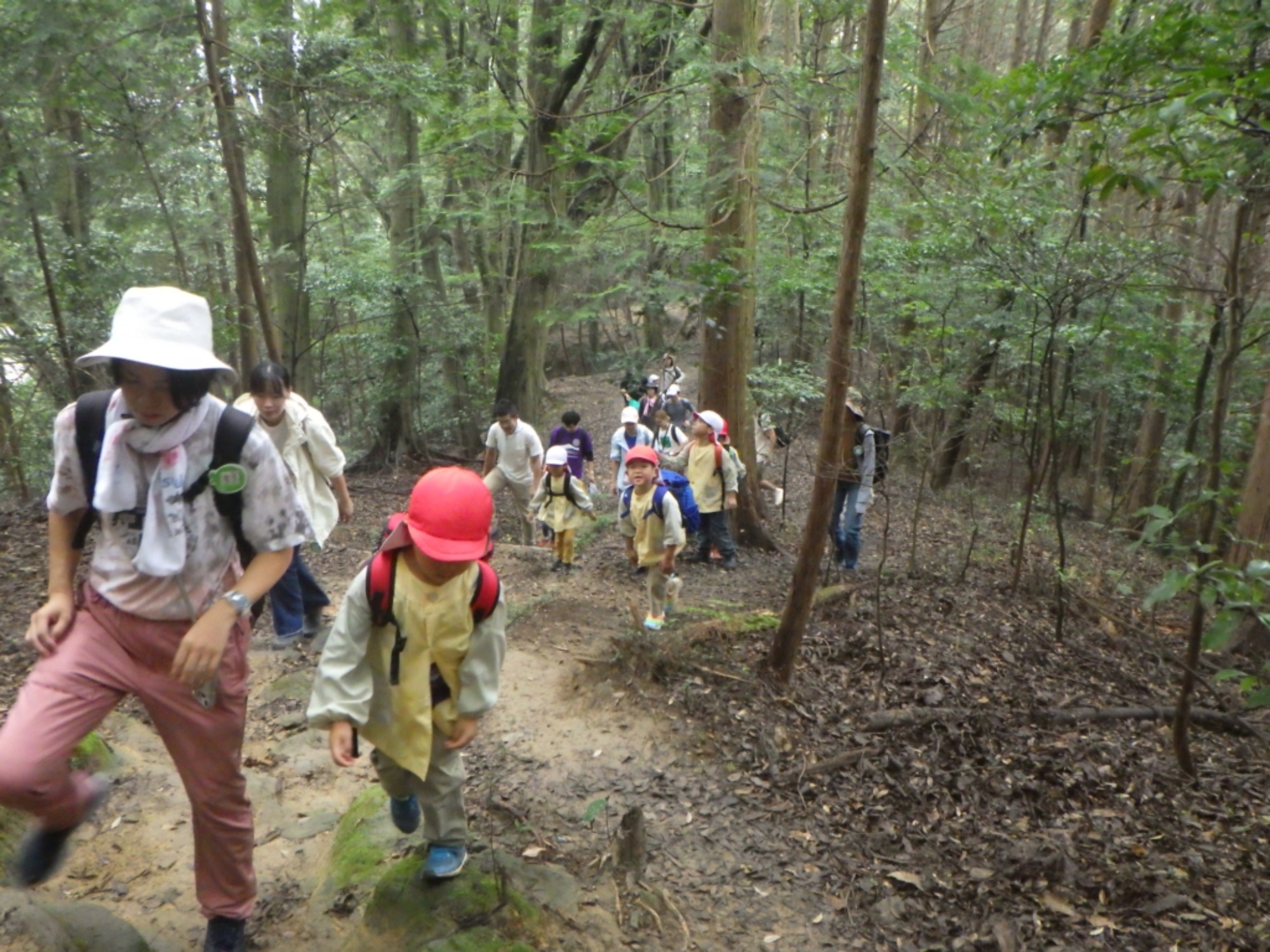 【年中】10/16　村積山　園外保育（1/3）