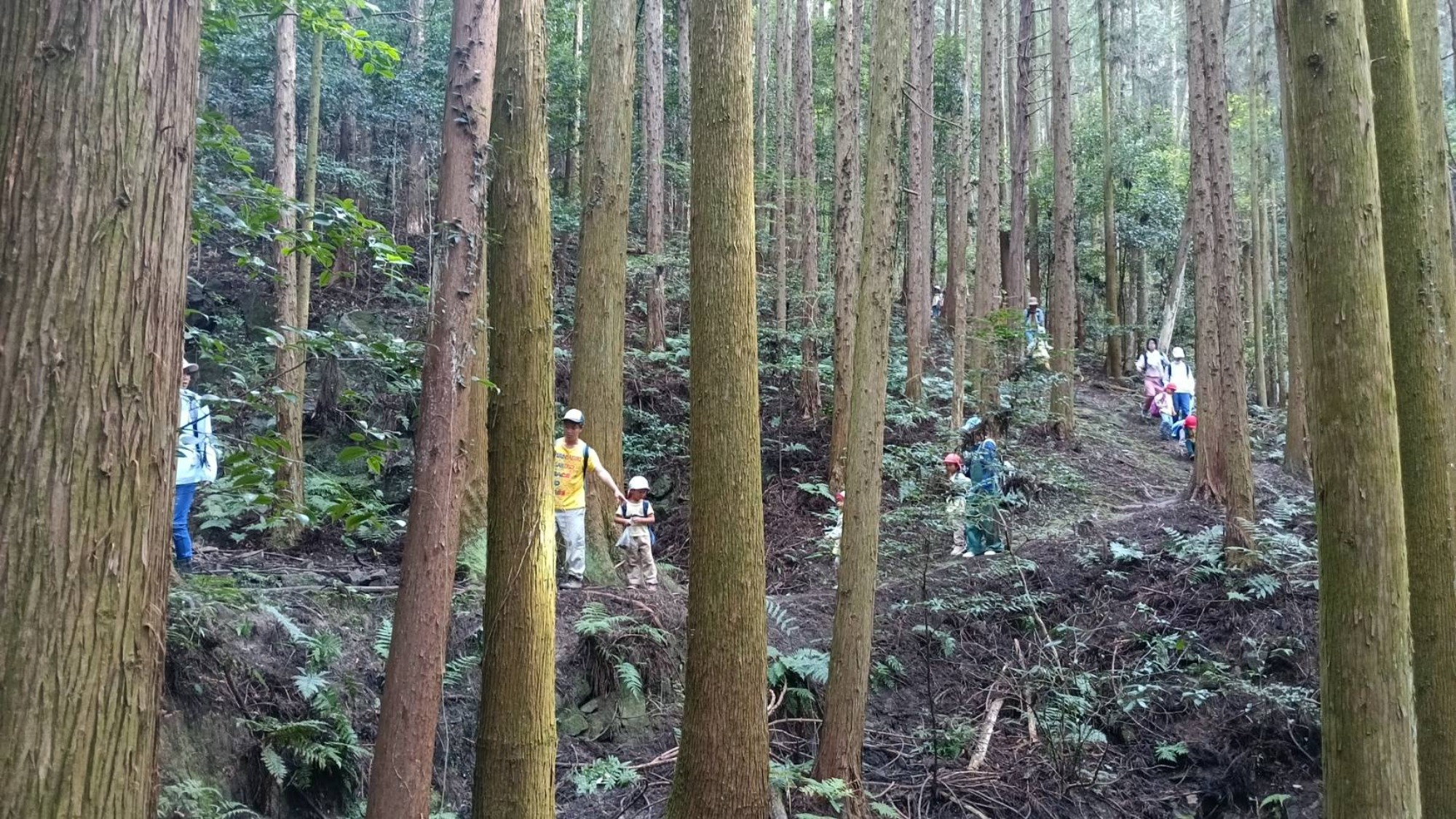 【年中】10/16　村積山　園外保育（3/3）