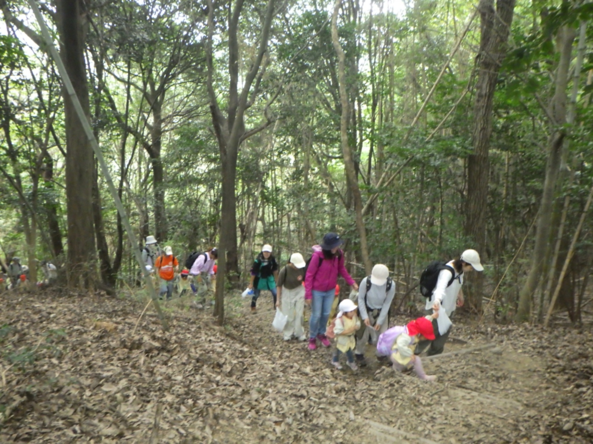 【年少】10/18　村積山　園外保育（1/2）