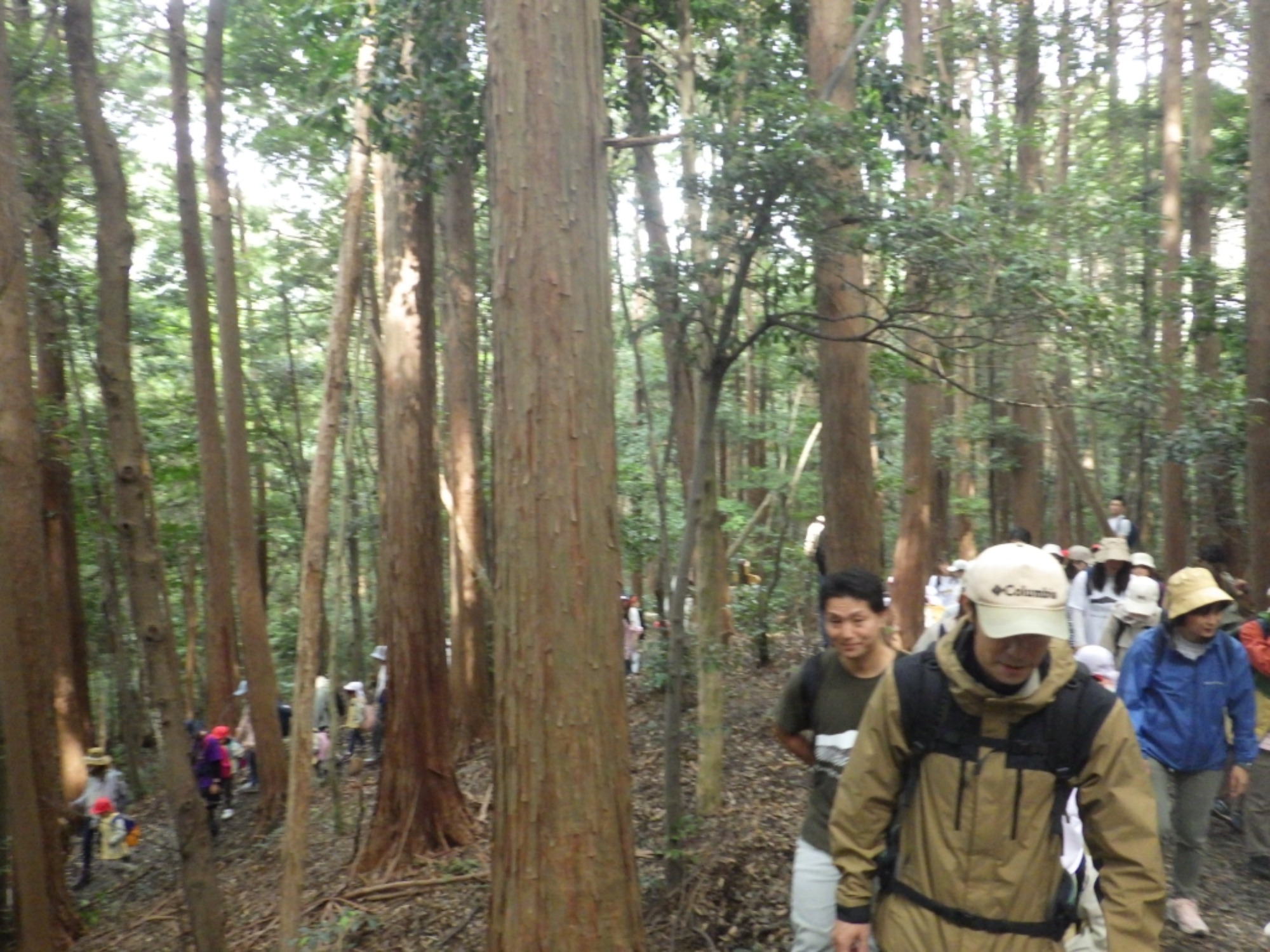 【年長】10/31　村積山　園外保育（1/3）