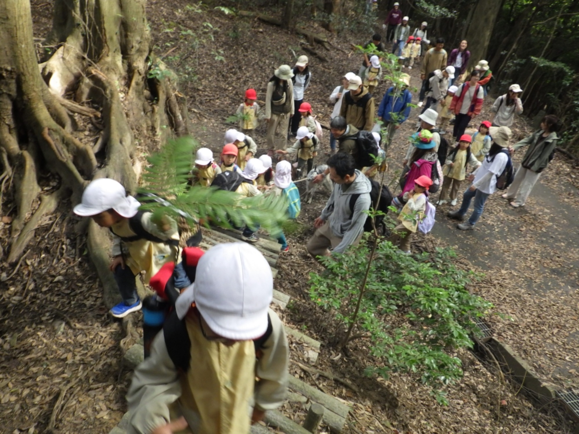 【年長】10/31　村積山　園外保育（1/3）