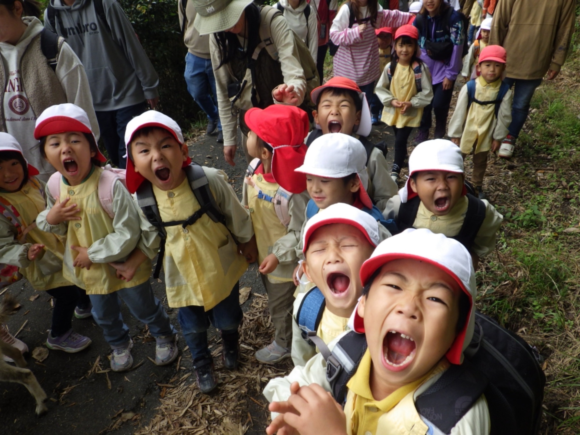 【年長】10/31　村積山　園外保育（1/3）