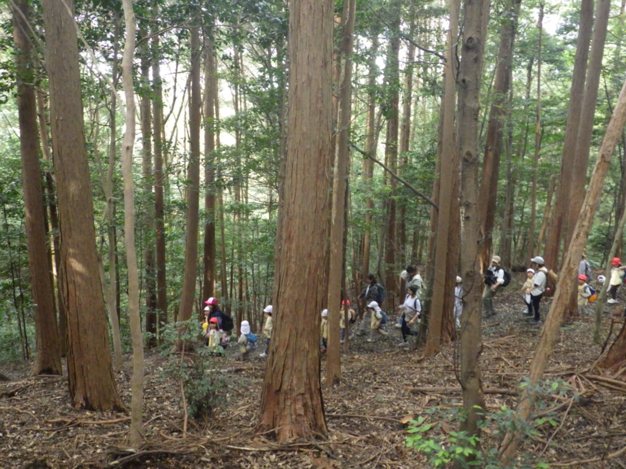 【年長】10/31　村積山　園外保育（1/3）