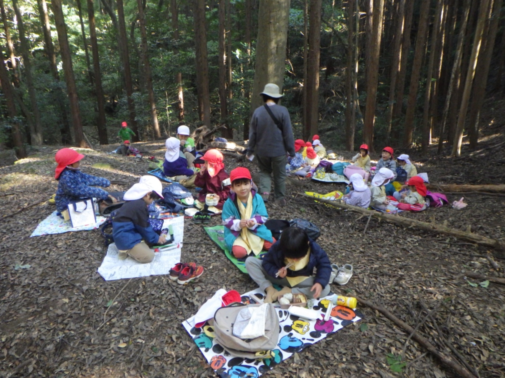 【年中】11/7　村積山　園外保育（1/3）