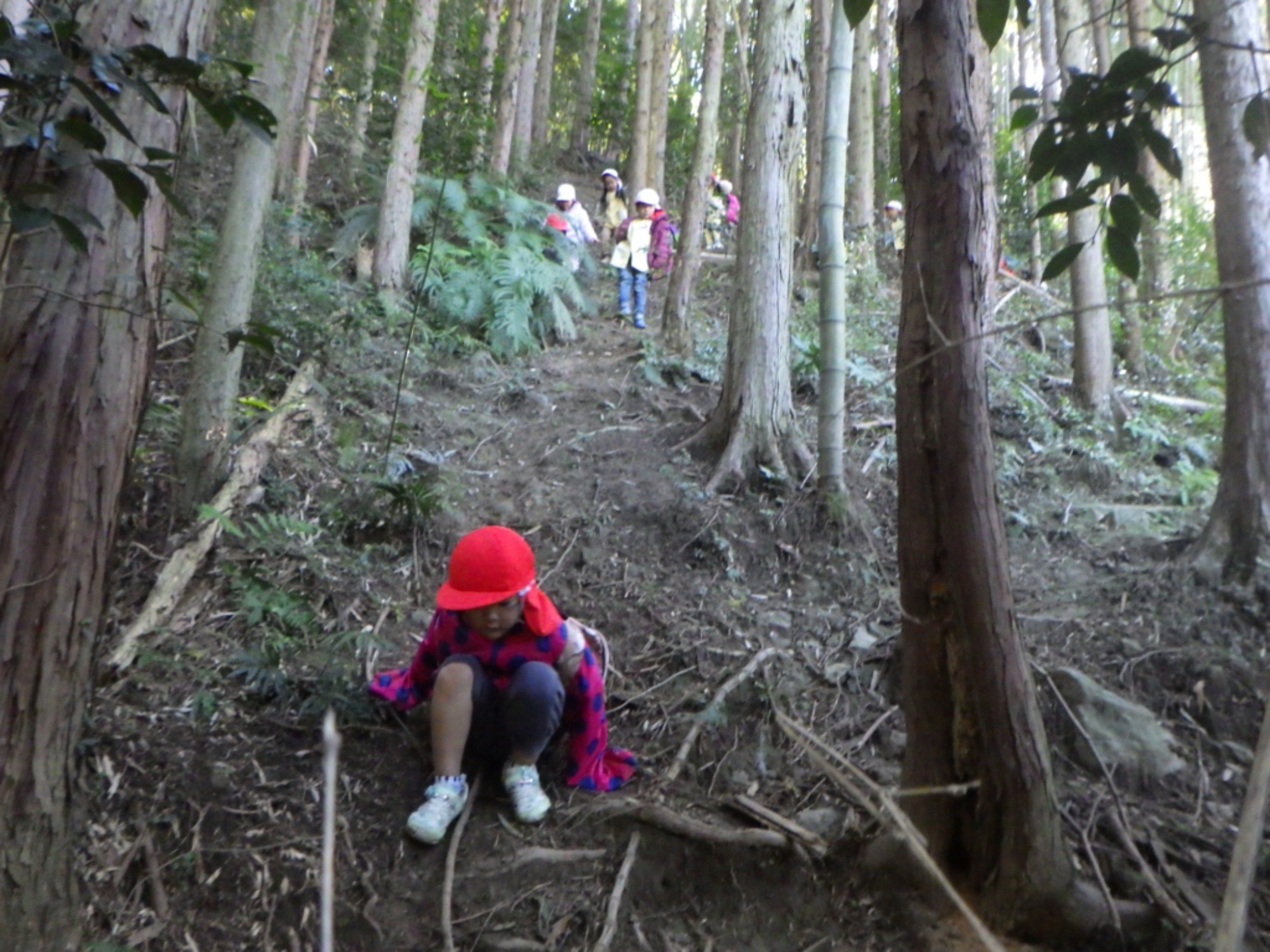 【年中】11/7　村積山　園外保育（3/3）