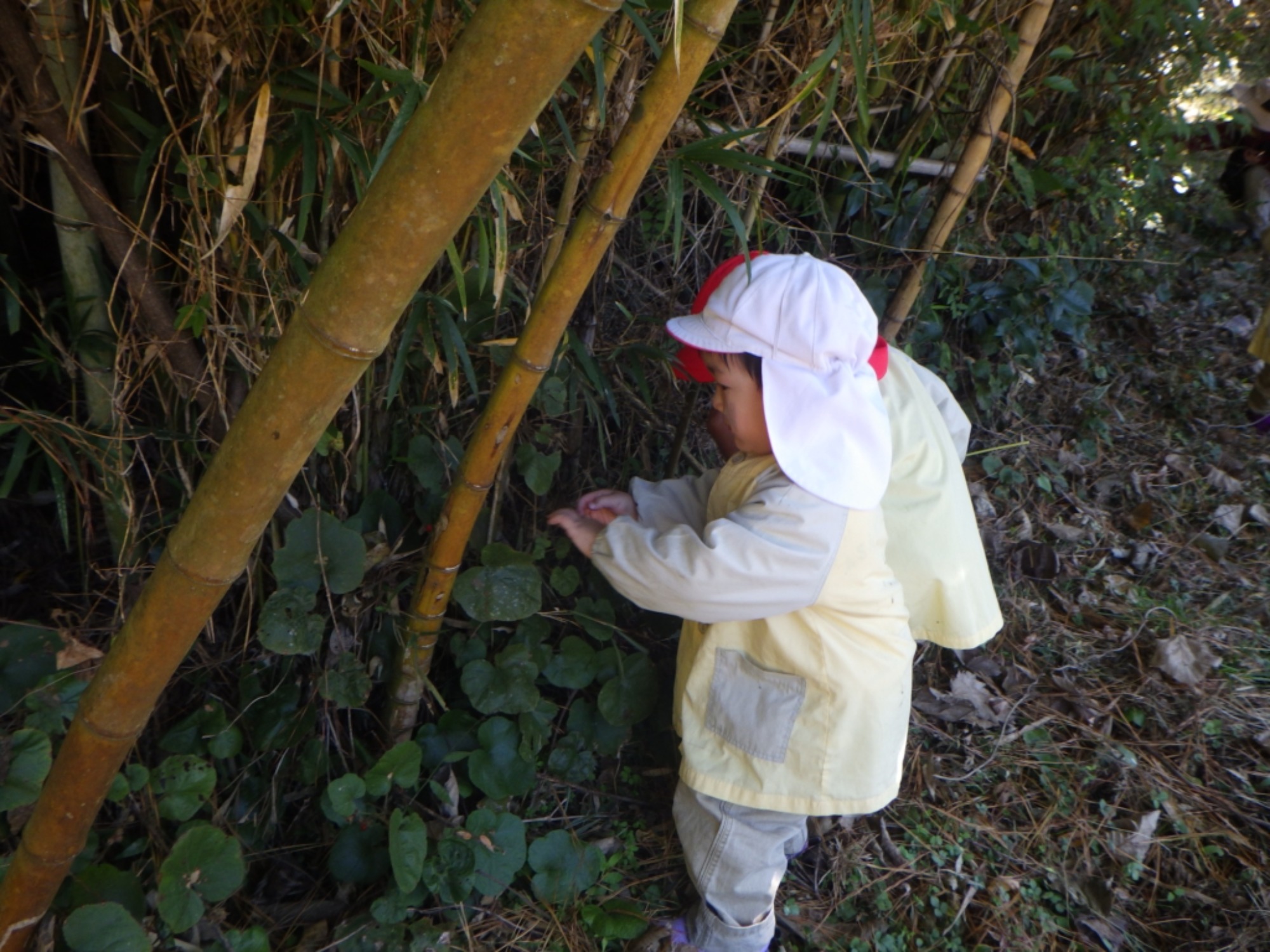 【くも】11/25　村積山　園外保育