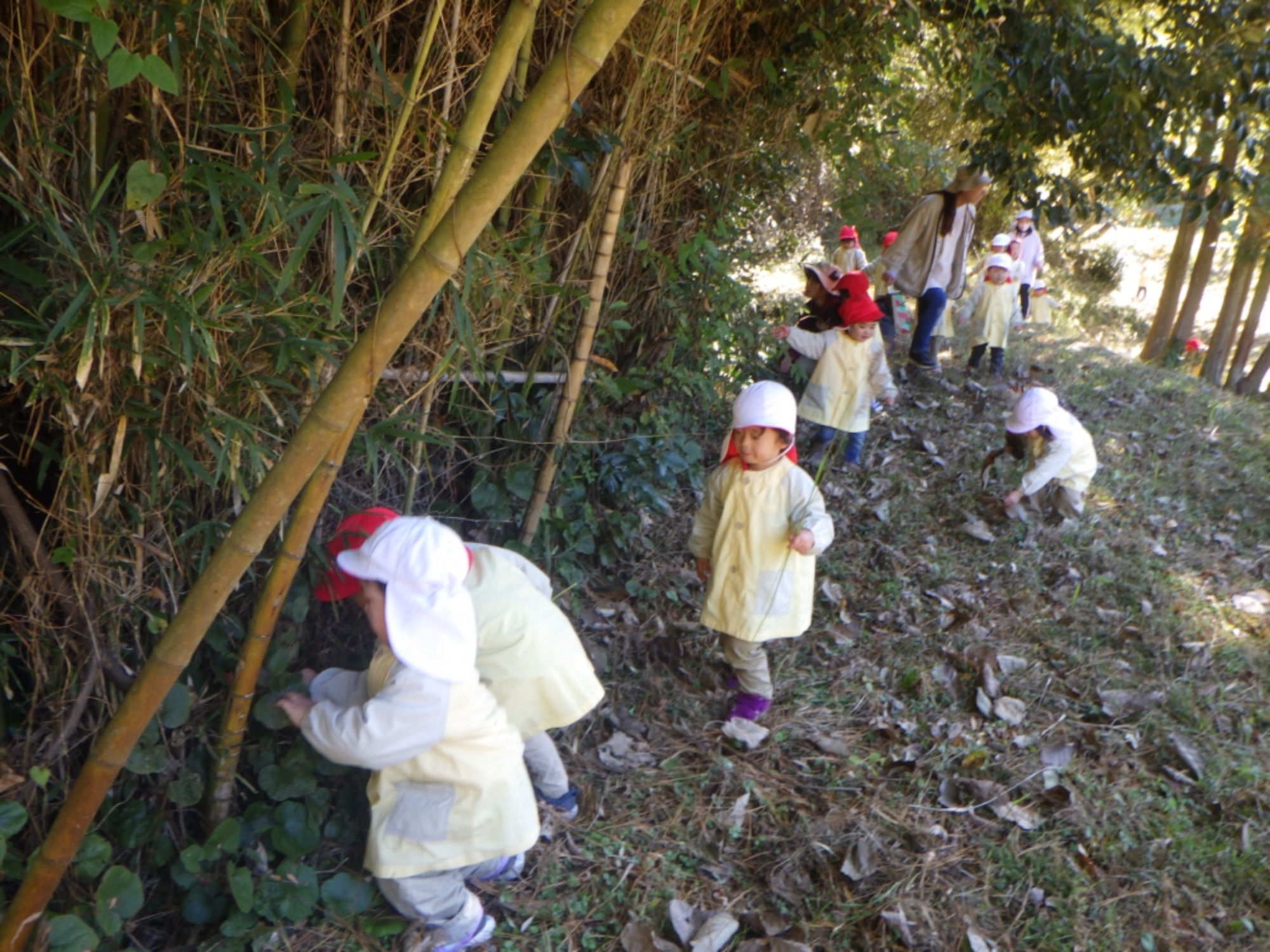 【くも】11/25　村積山　園外保育