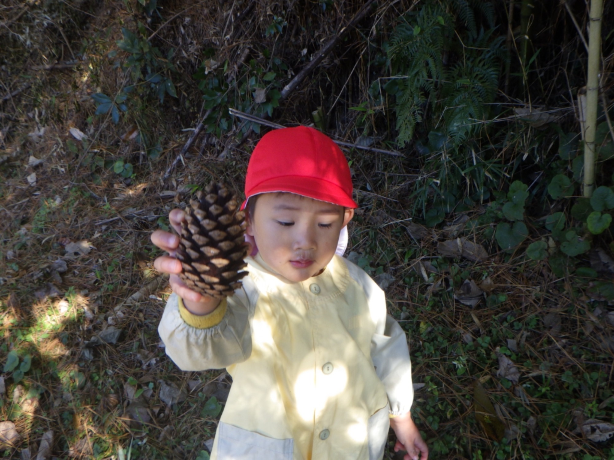 【くも】11/25　村積山　園外保育