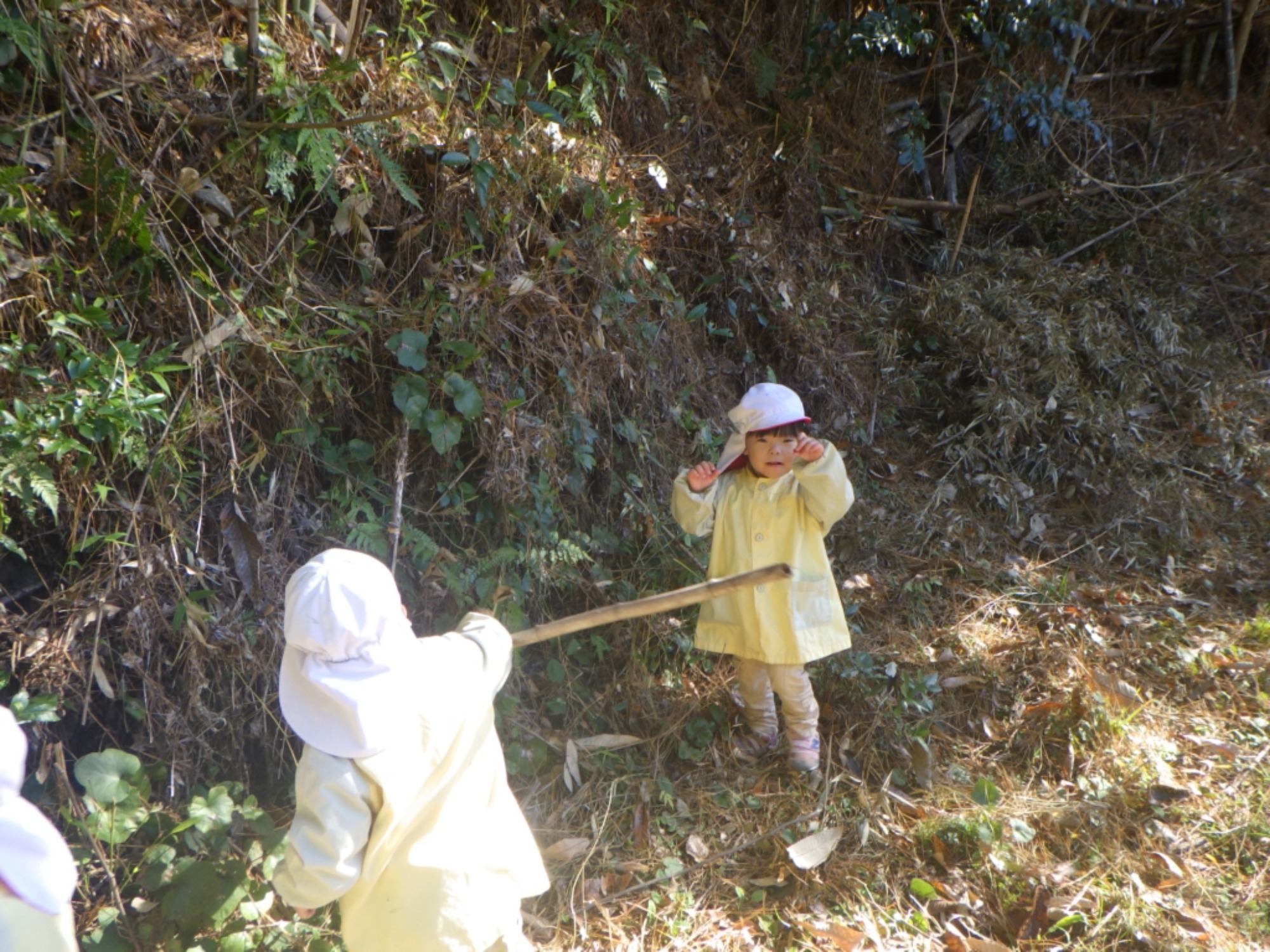 【くも】11/25　村積山　園外保育