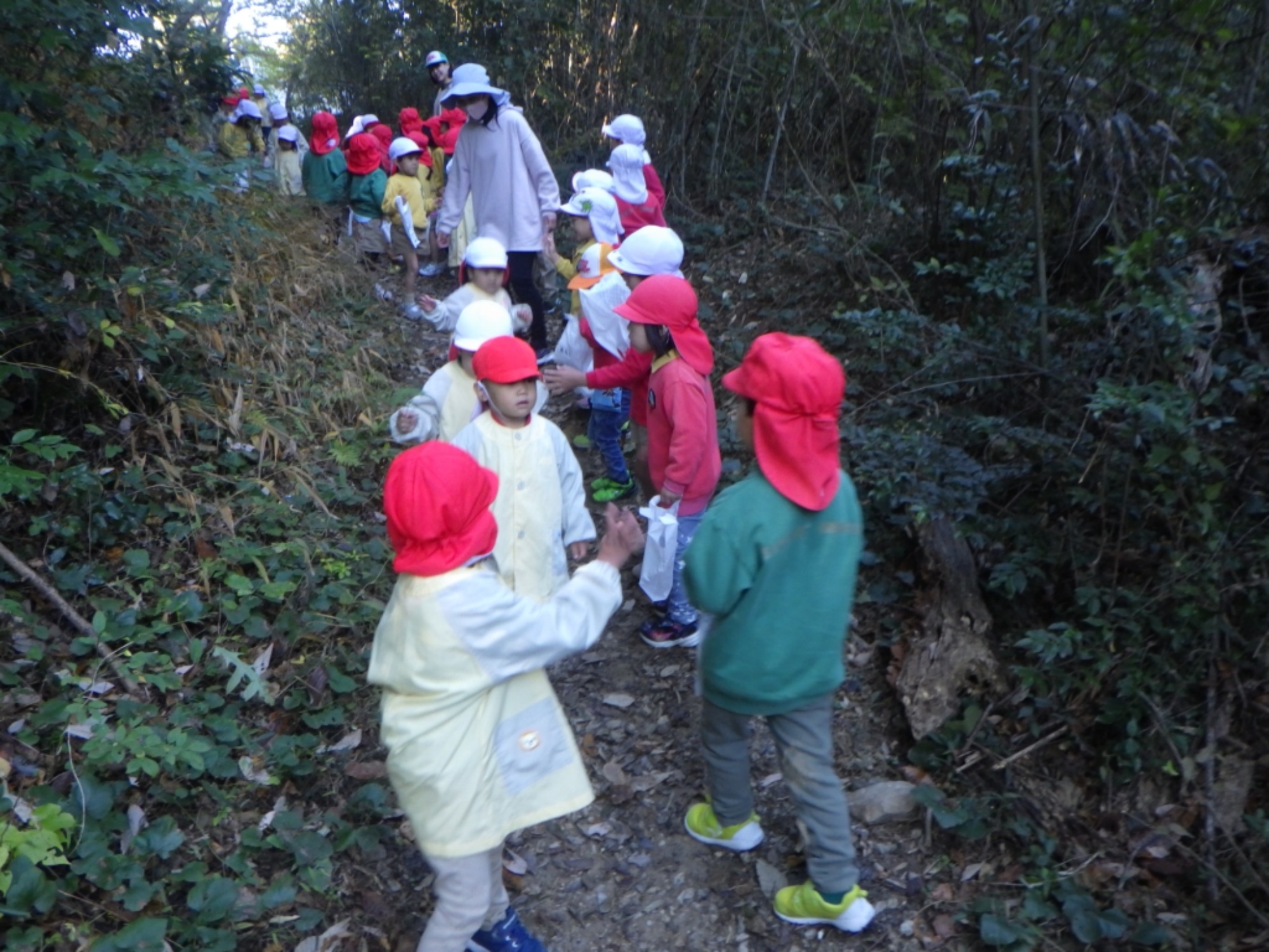 【くも】11/25　村積山　園外保育