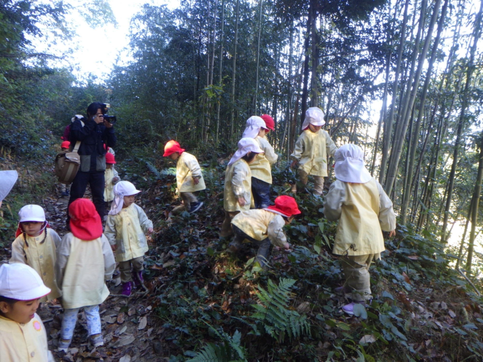 【くも】11/25　村積山　園外保育