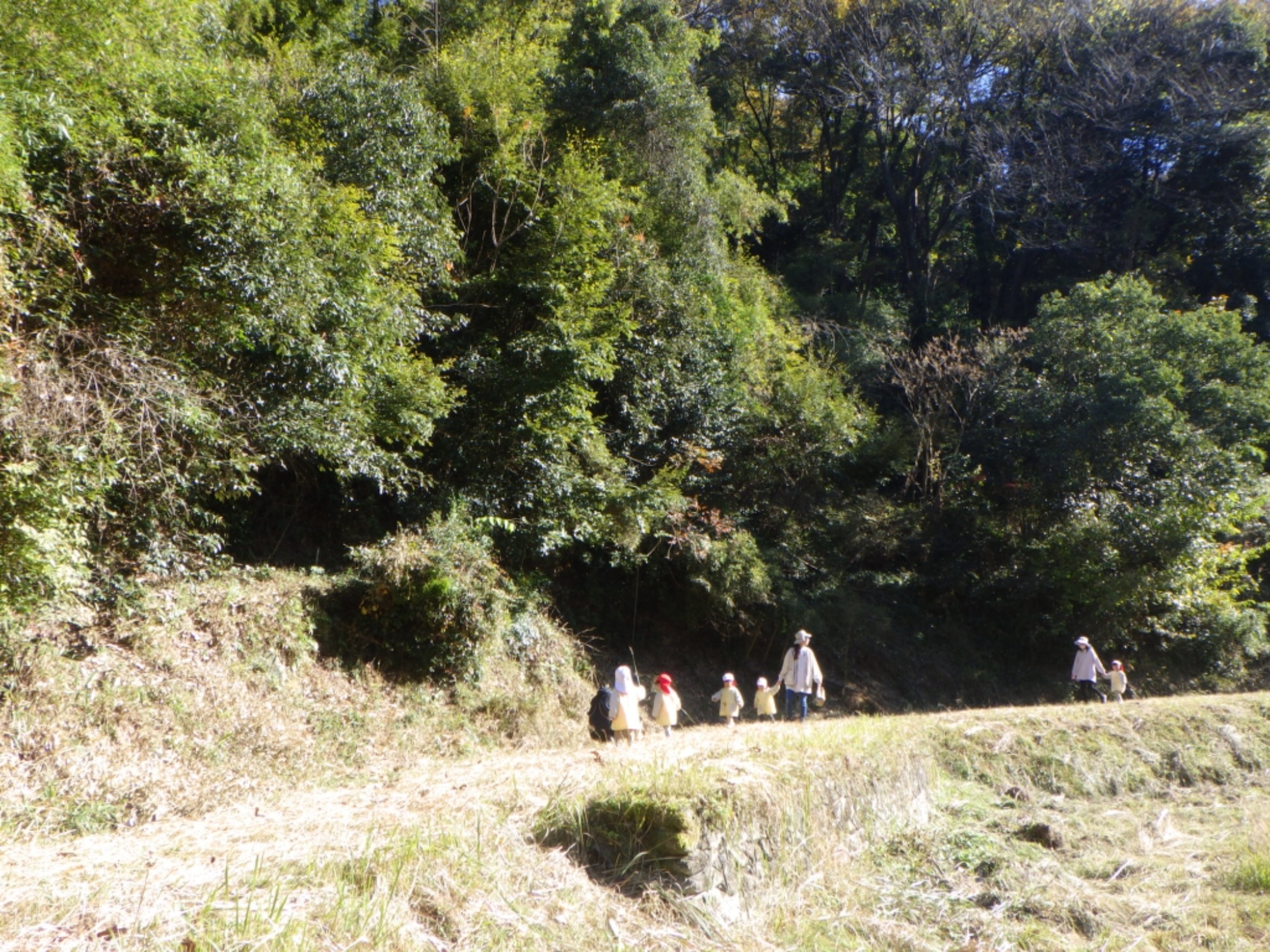 【くも】11/25　村積山　園外保育