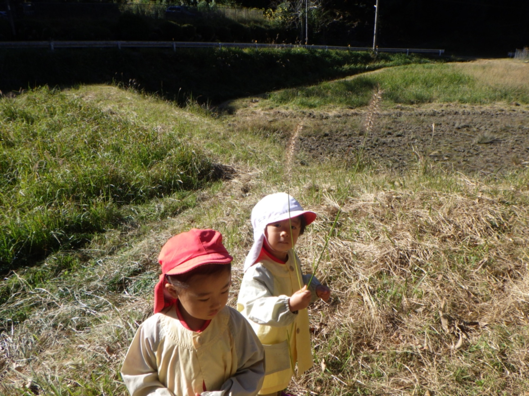 【くも】11/25　村積山　園外保育