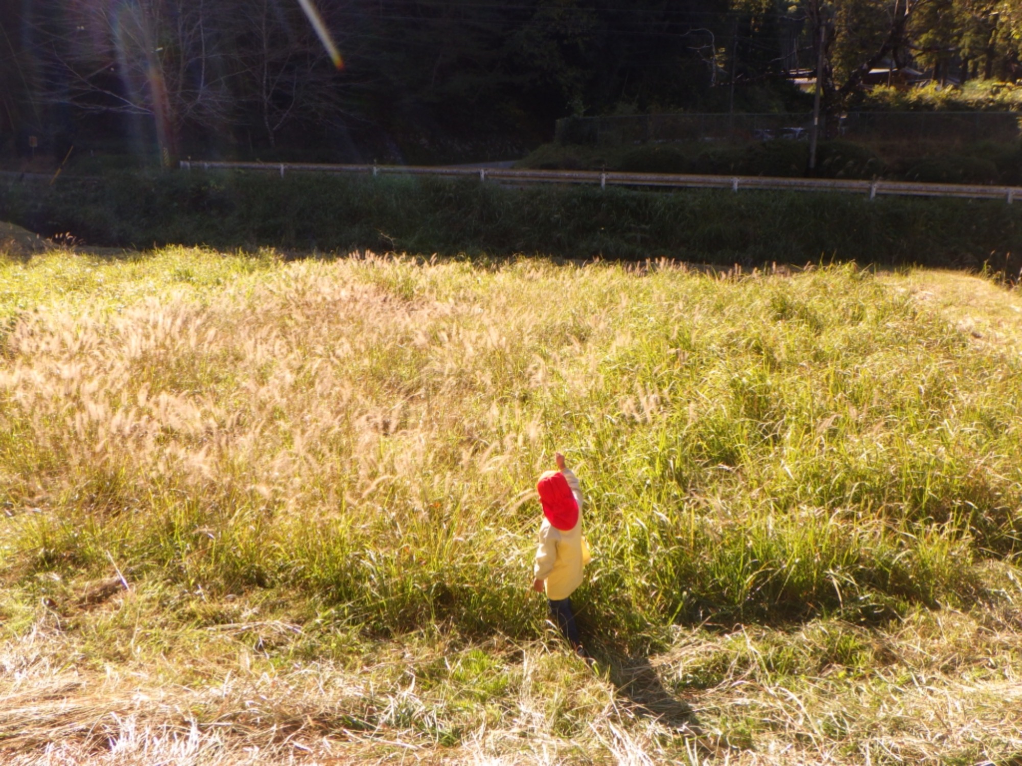 【くも】11/25　村積山　園外保育