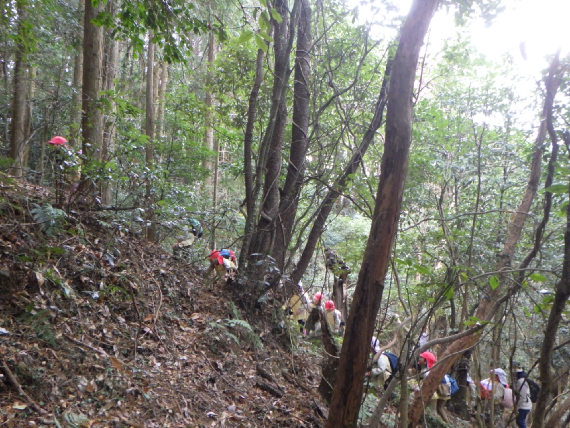 【年長】1/9　村積山　園外保育（1/3）