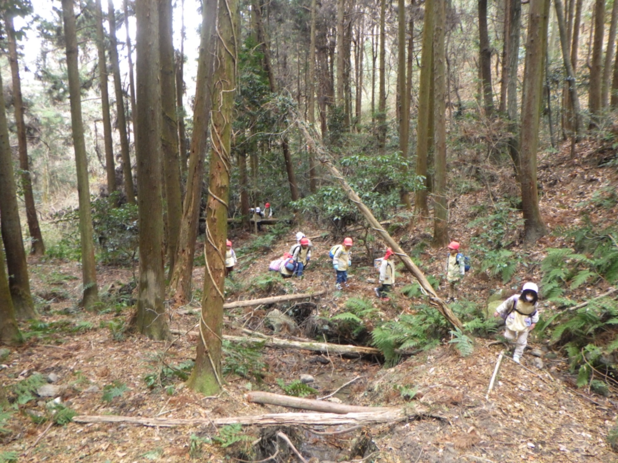 【年長】1/9　村積山　園外保育（1/3）