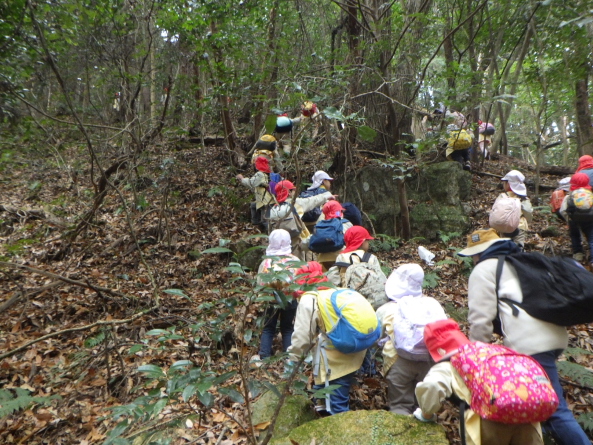 【年長】1/9　村積山　園外保育（1/3）