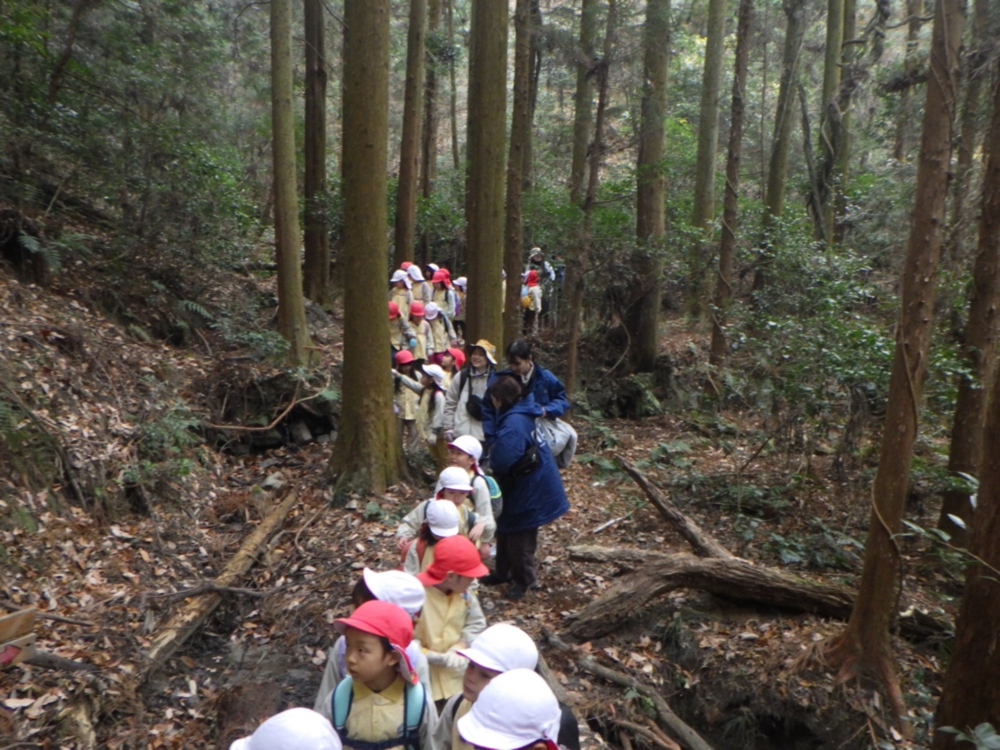 【年長】1/9　村積山　園外保育（2/3）