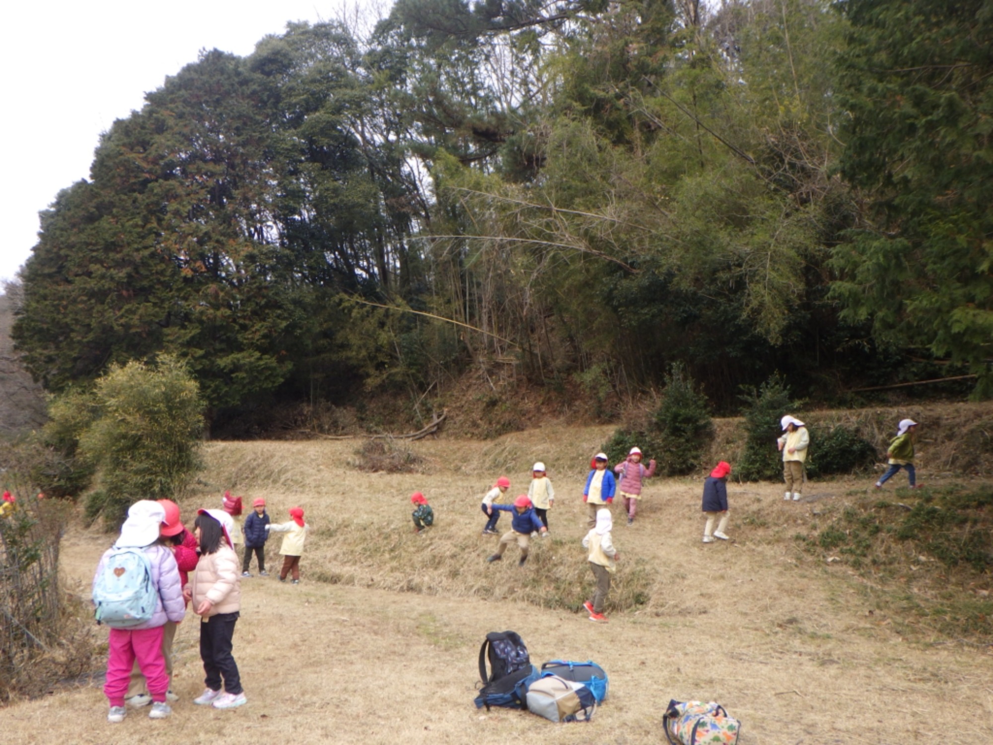 【年長】1/9　村積山　園外保育（3/3）