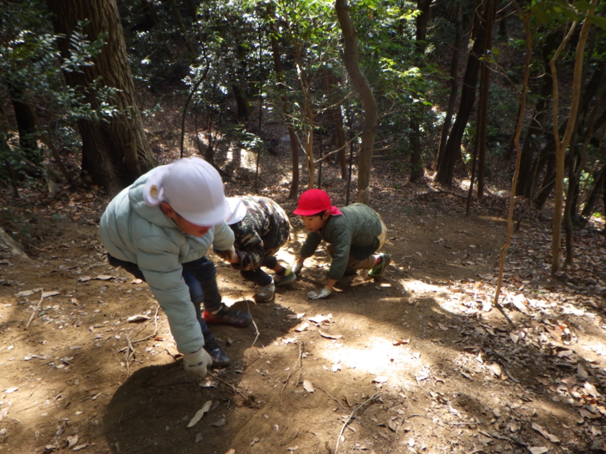 【年長】1/9　村積山　園外保育（3/3）