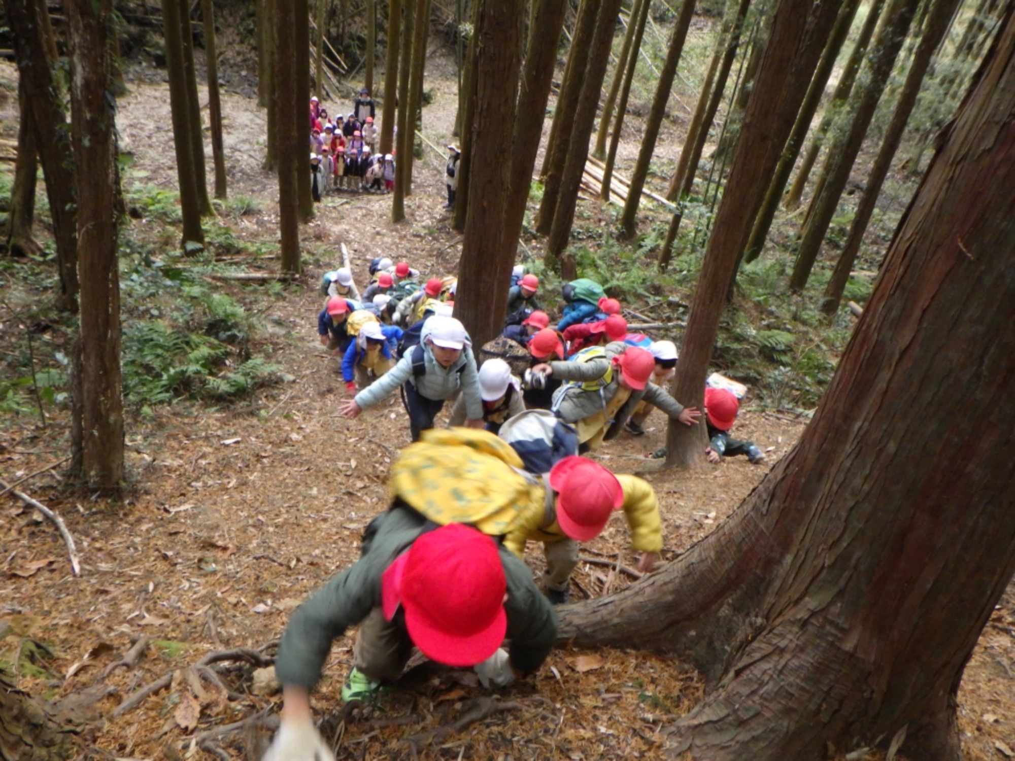 【年長】1/9　村積山　園外保育（3/3）