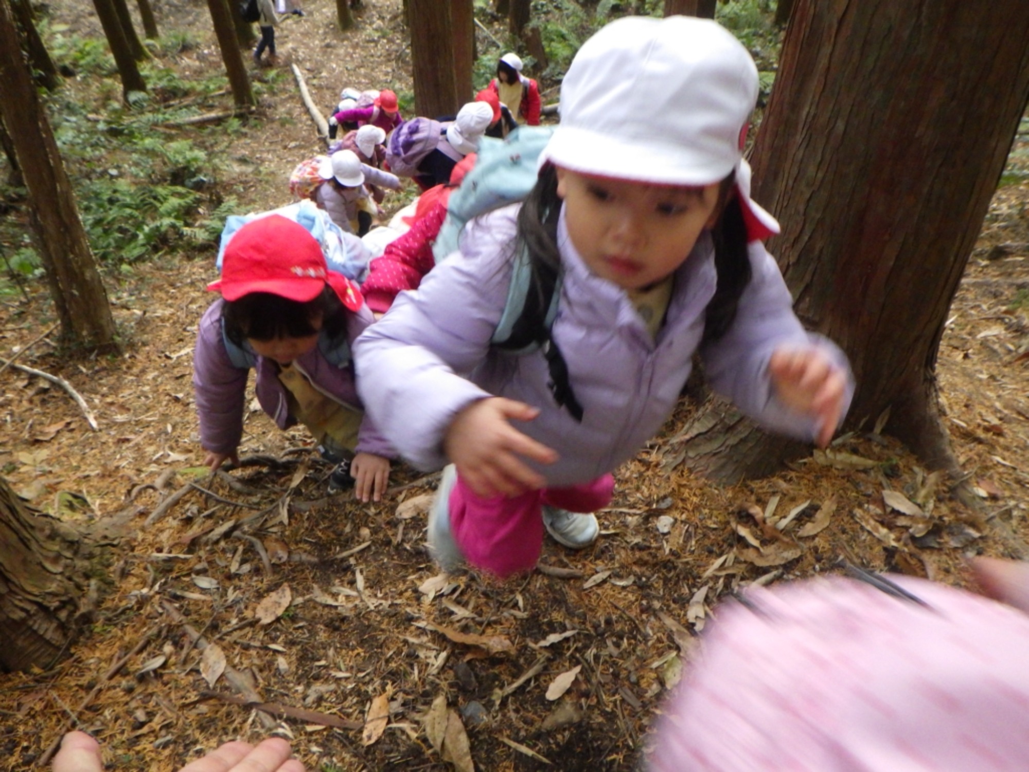 【年長】1/9　村積山　園外保育（3/3）