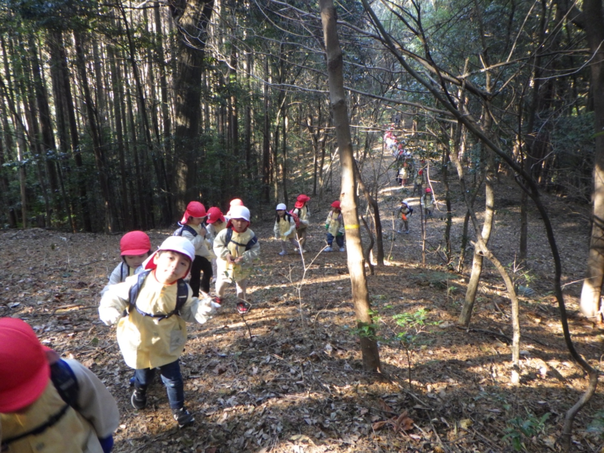 【年中】1/14　村積山　園外保育（1/3）