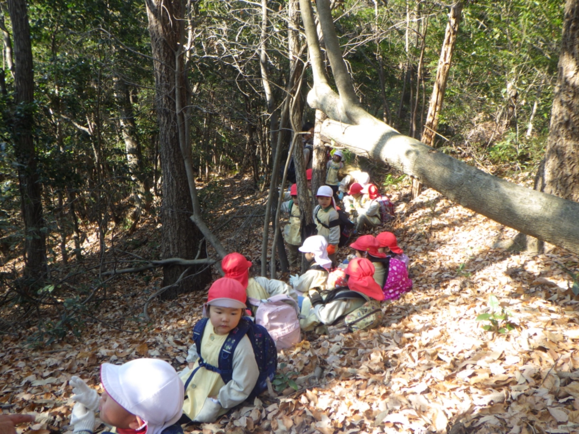 【年中】1/14　村積山　園外保育（1/3）