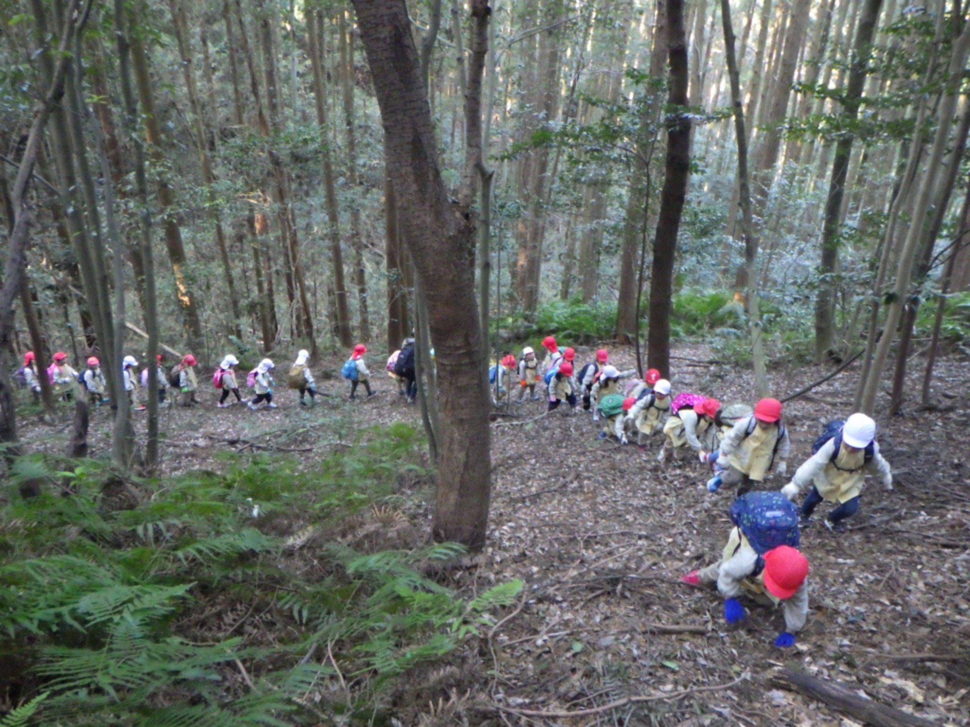 【年中】1/14　村積山　園外保育（1/3）