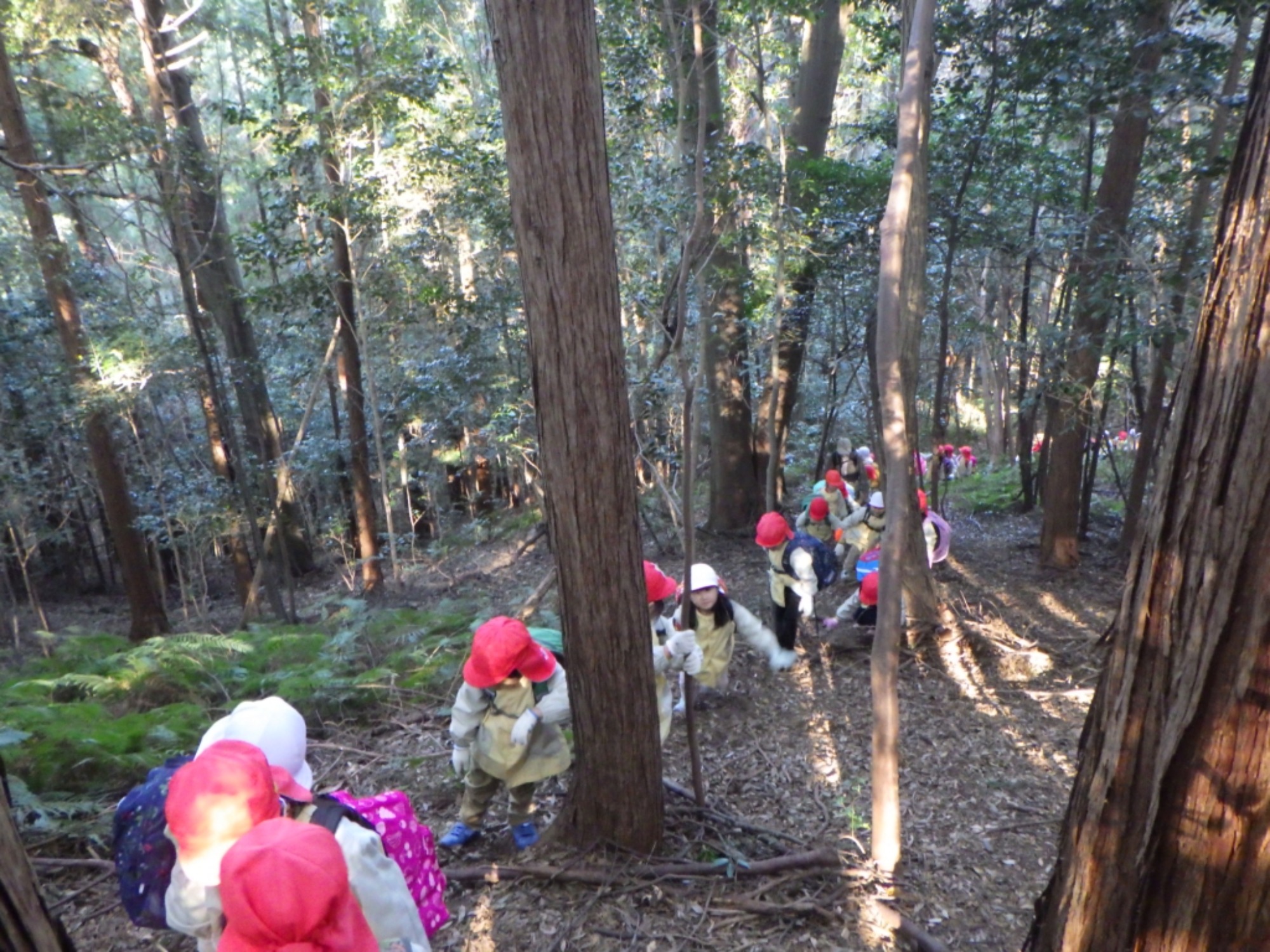 【年中】1/14　村積山　園外保育（1/3）