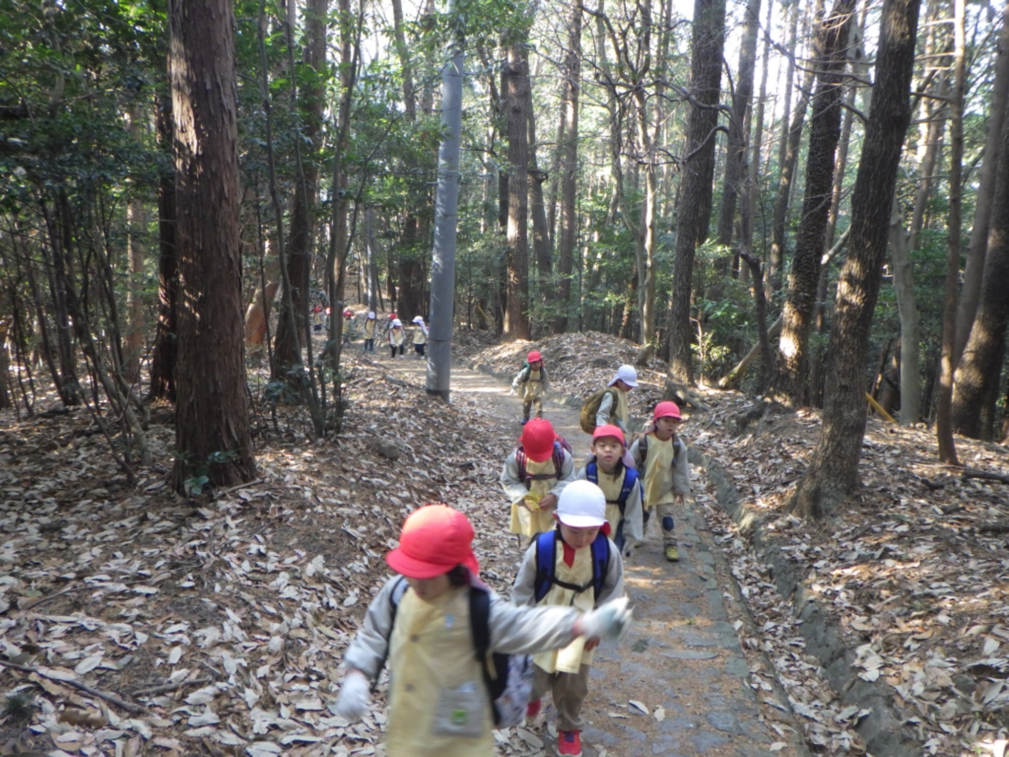 【年中】1/14　村積山　園外保育（1/3）