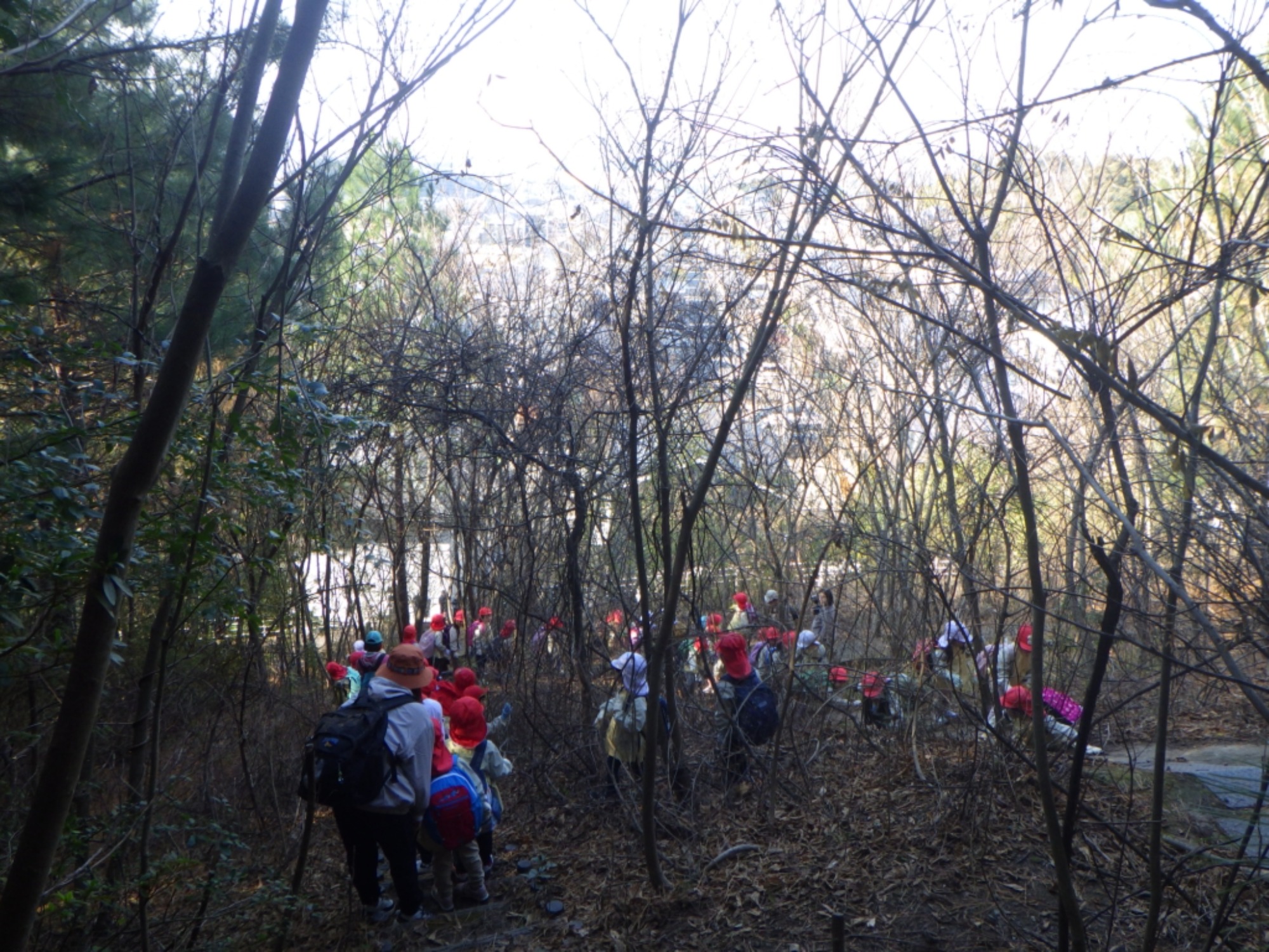 【年中】1/14　村積山　園外保育（1/3）