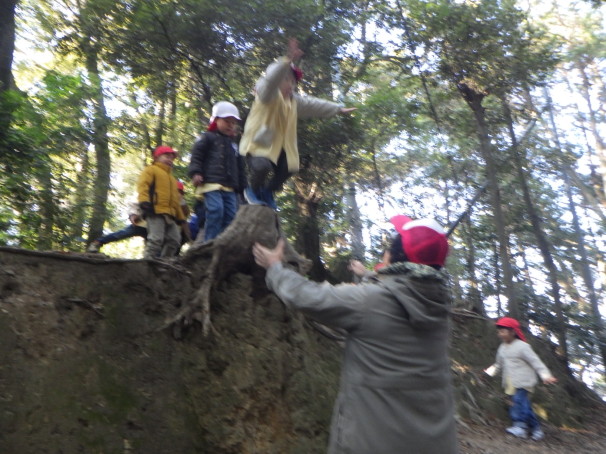 【年中】1/14　村積山　園外保育（2/3）