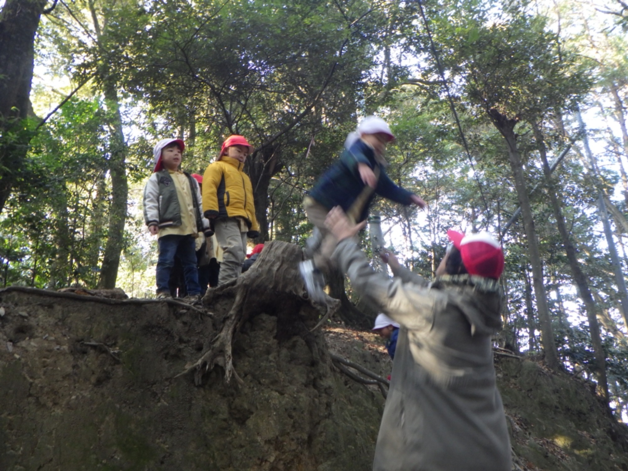 【年中】1/14　村積山　園外保育（2/3）