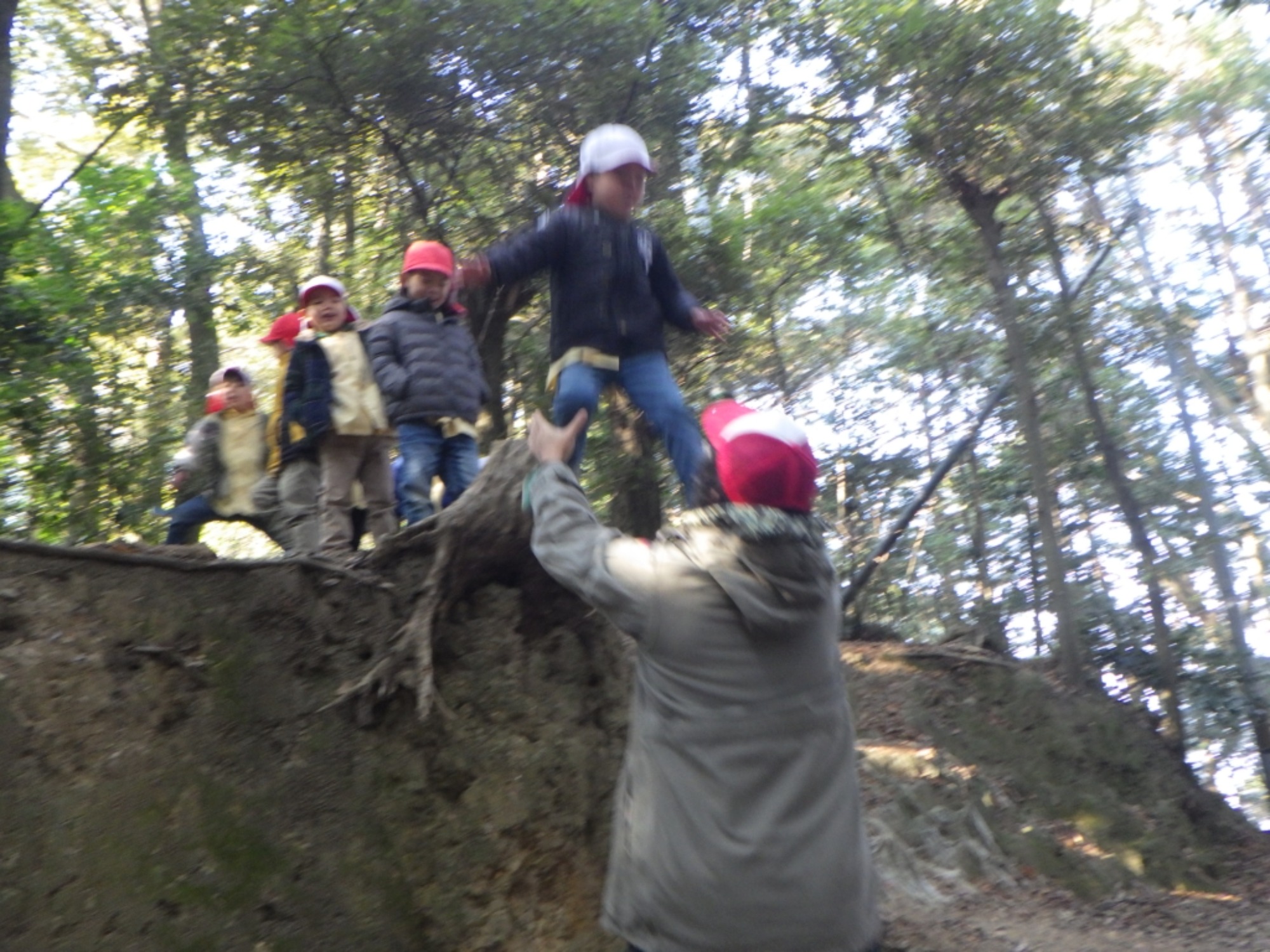 【年中】1/14　村積山　園外保育（2/3）