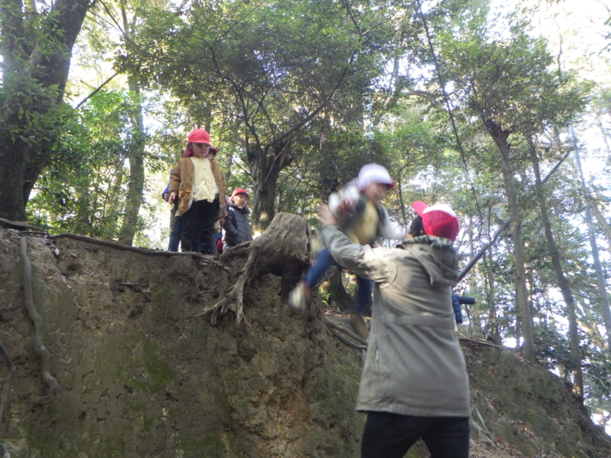 【年中】1/14　村積山　園外保育（2/3）