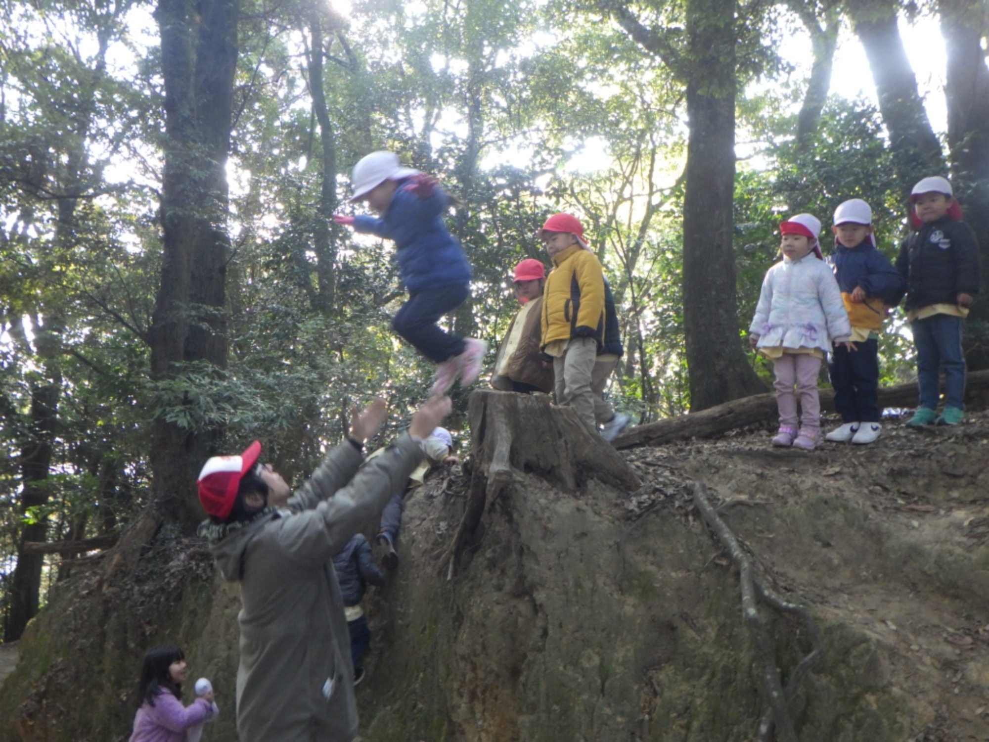 【年中】1/14　村積山　園外保育（3/3）